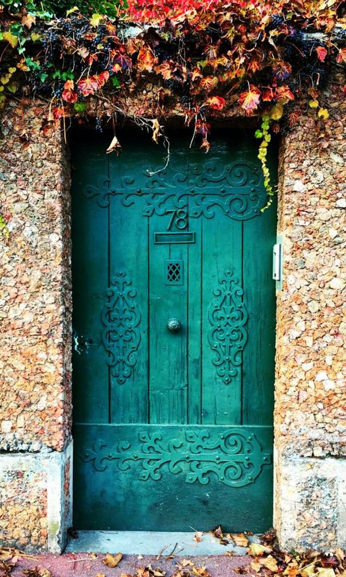 Deep green wooden door in a stone encrusted wall with ivy growing above the door.