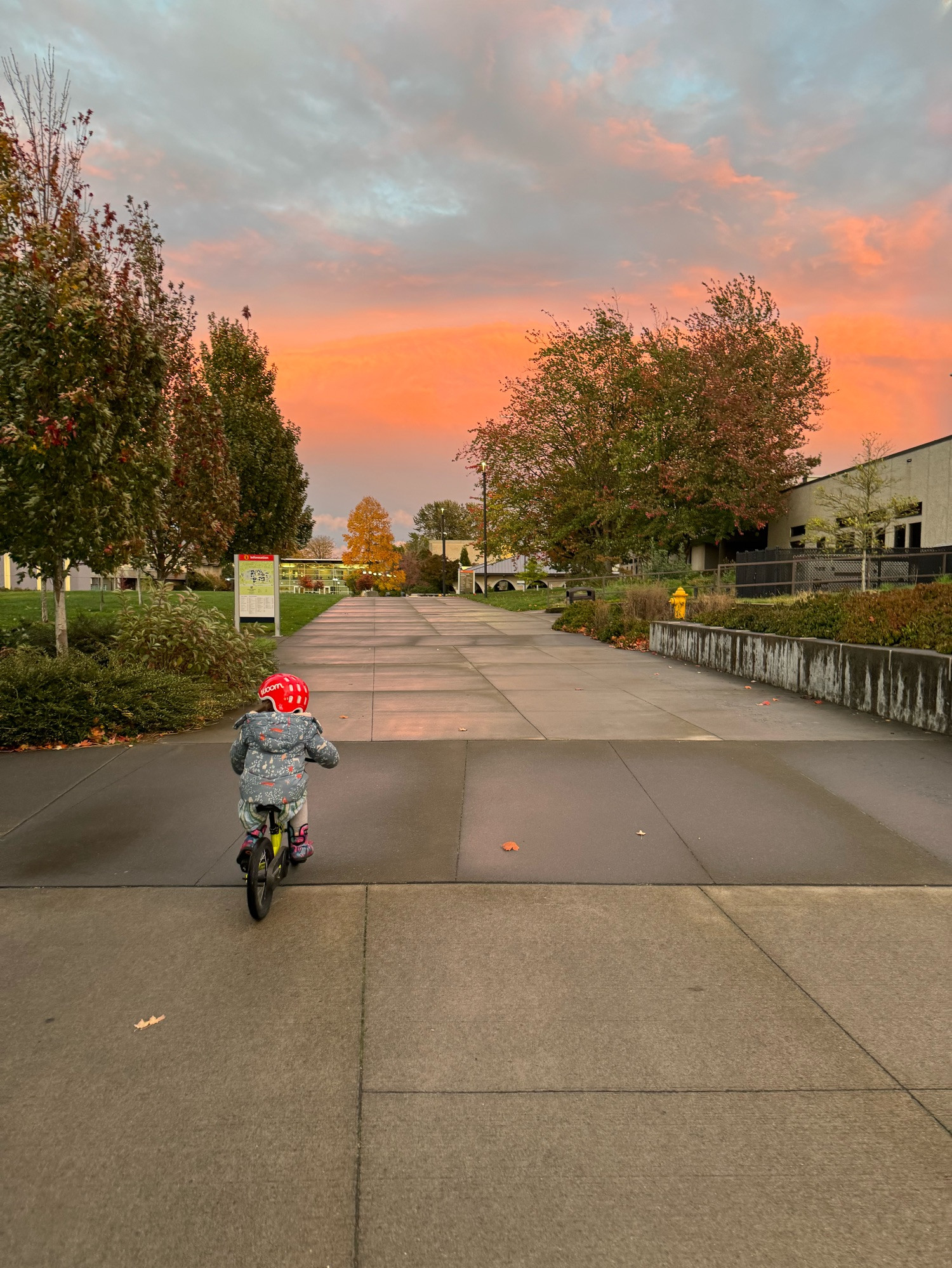 Kid riding a bike on South Seattle college campus