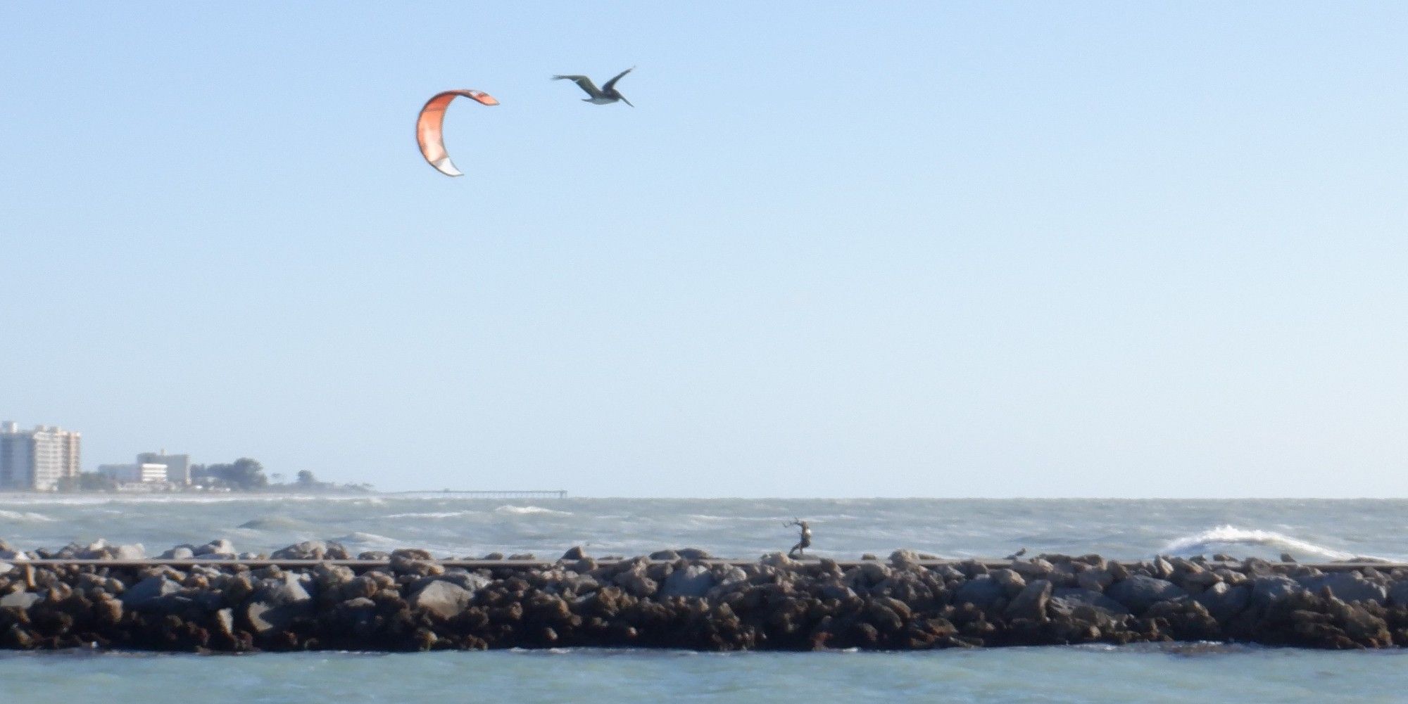 Photo taken in 2022 of the South Jetty, Venice, with a kite surfer whose orange kite looks like it is flying beside a pelican in the cloudless light blue sky. After the jetty was damaged by Hurricane Idalia, 400 tons of granite were brought in to stabilize the walkway. The jetty reopened a year later in July, but because of Tropical Storm Debby, 60%-70% of the rocks were lost, along with all of the asphalt. Now, there is further damage caused by Hurricane Hélène.