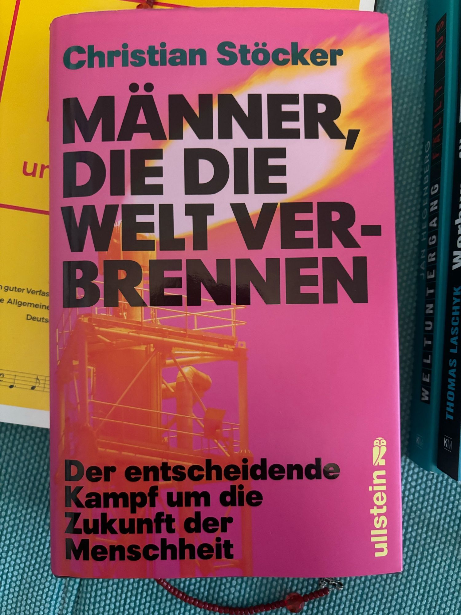 Buchcover mit Text auf pinkem Hintergrund: Christian Stöcker. Männer, die die Welt verbrennen. Der entscheidende Kampf um die Zukunft der Menschheit