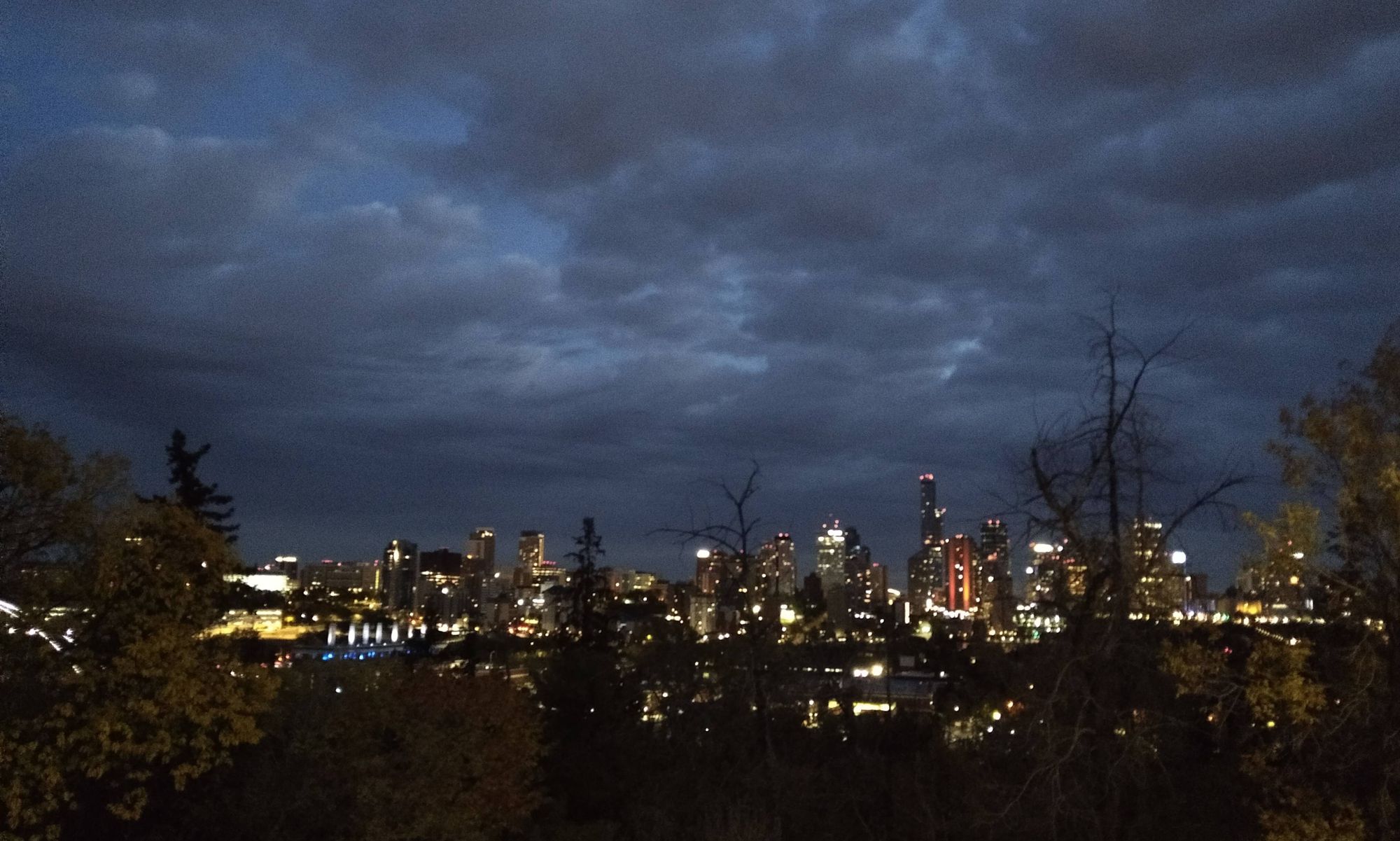 The main/central portion of downtown Edmonton, as seen through sparse trees.

Major bridges are obscured but office towers loom darkly like the tallest Stantec tower in the center right or are lit up brightly with beams of architectural light, like one of the shorter towers below the Stantec.

hints of blue light in the west (left) half indicate where the historical Rossdale power plant is, and all its many illuminated but dormant smoke stacks.