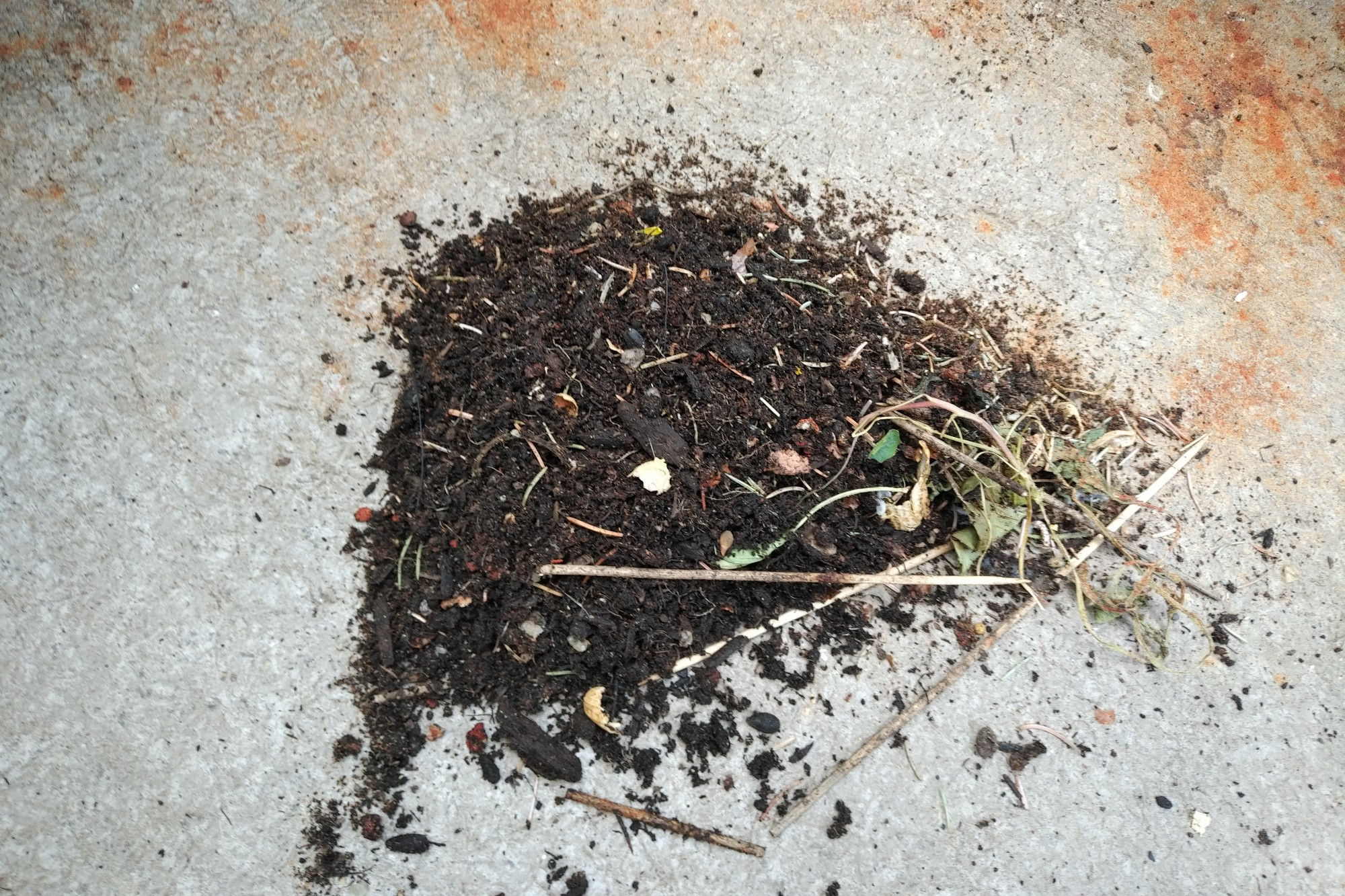 A pile of soil with added balcony debris (spruce needles, peanut shells, skewers and dead plant matter), swept up from the squirrel's digging.