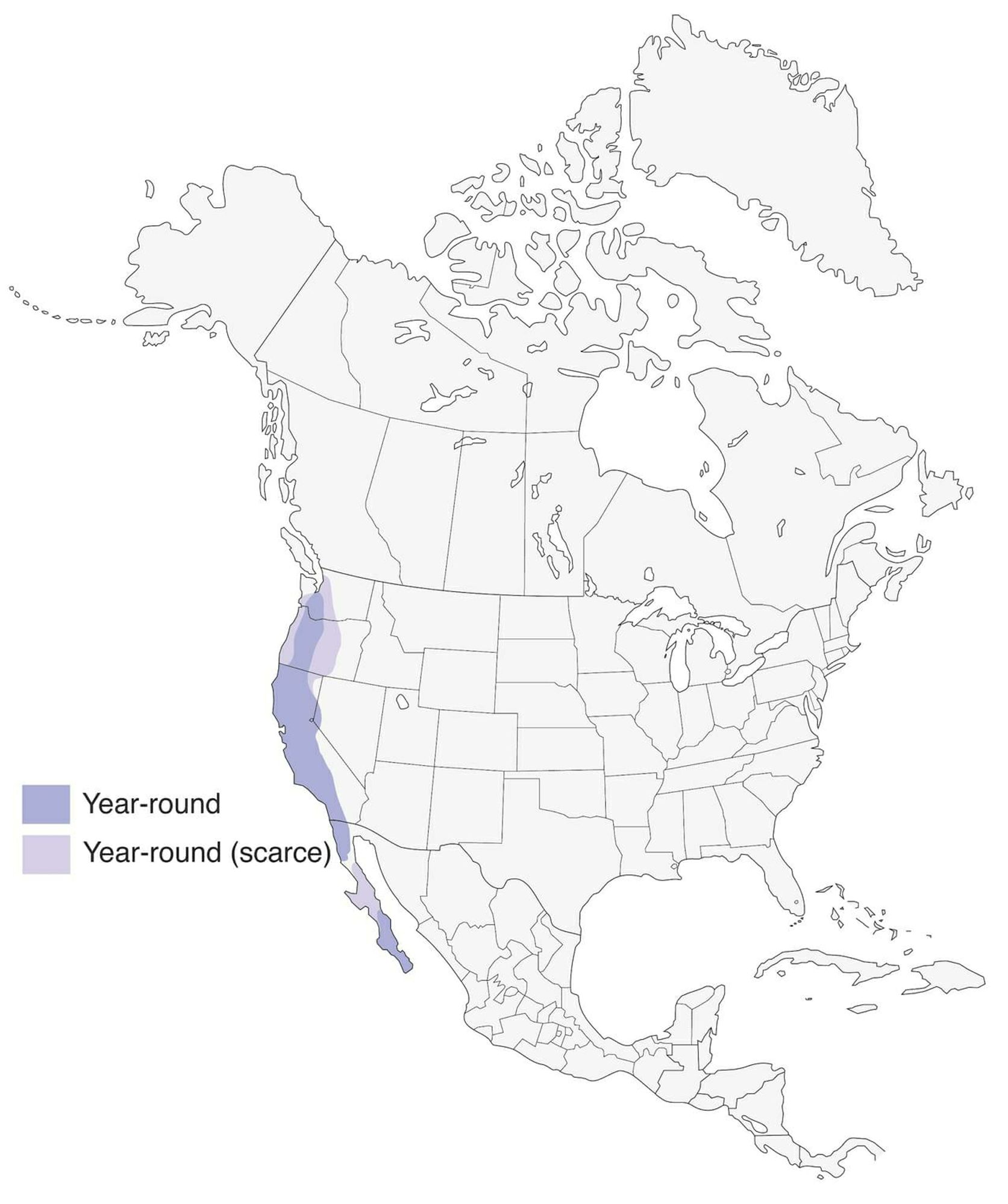 A map of north america with the range of the California Scrub Jay imposed in purple and pale grey.
It runs up the western coast of North America from the southern tip of Baja California to Puget Sound in Washington.

It does not cross into Canada.
Alberta, the second province from the west is scrub jay free.