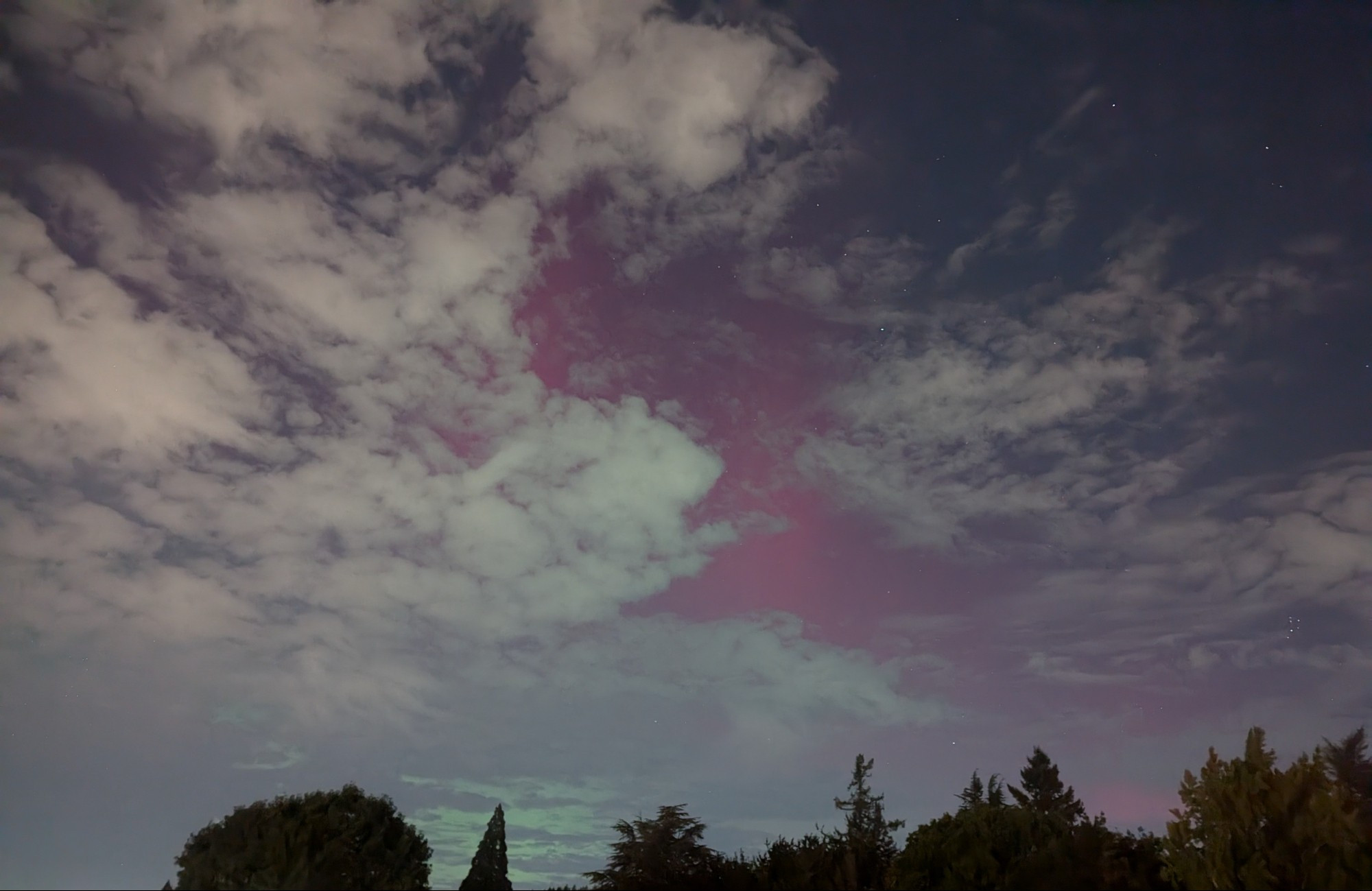 Yet another shot of pink Northern lights behind clouds with trees spectating below. This one features a hint of green at the bottom of the sky, barely visible through rifts in the clouds.