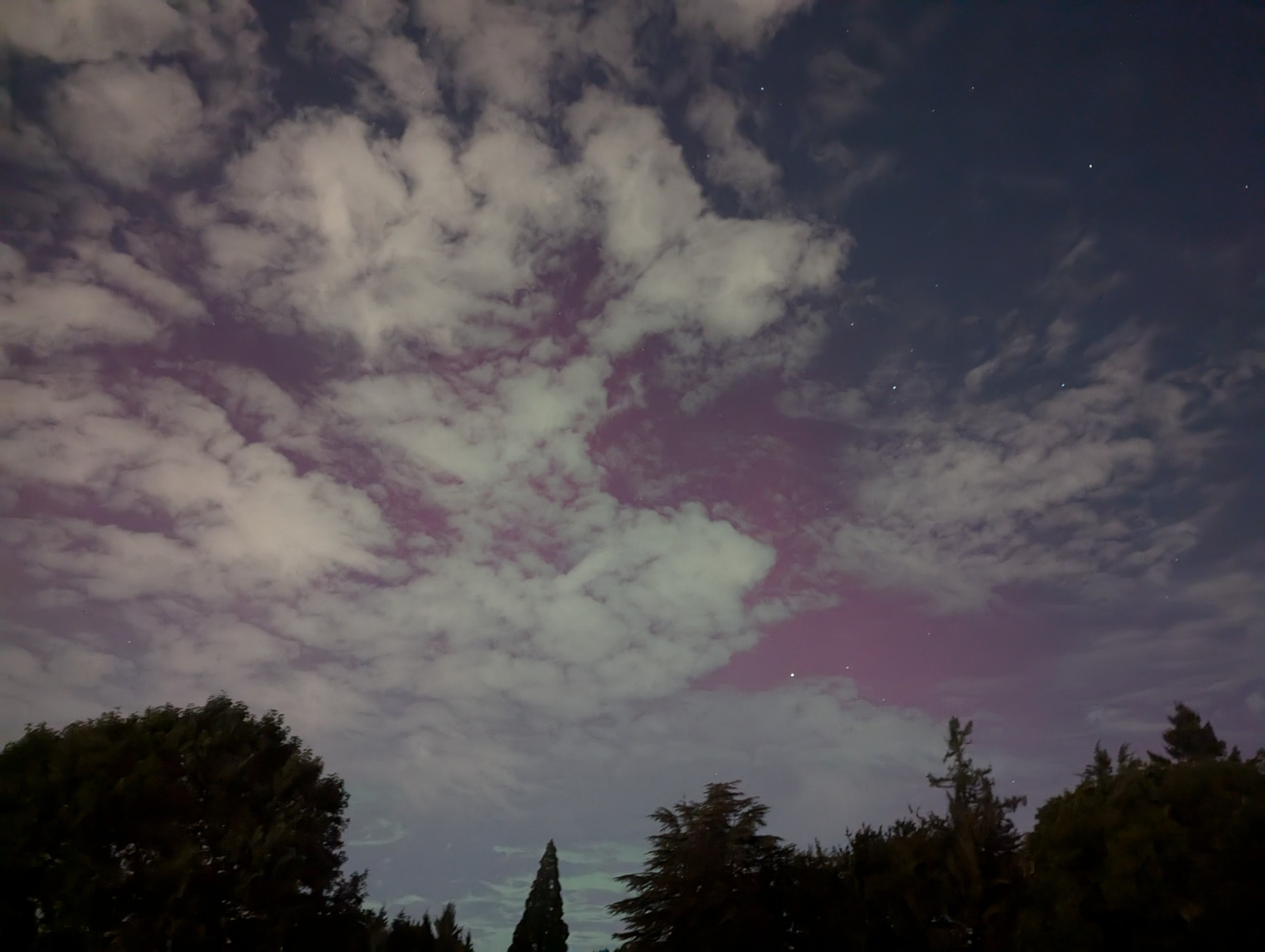 Another pink glow of northern lights behind clouds, above a stand of firs. A smattering of stars lurk behind the curtains.