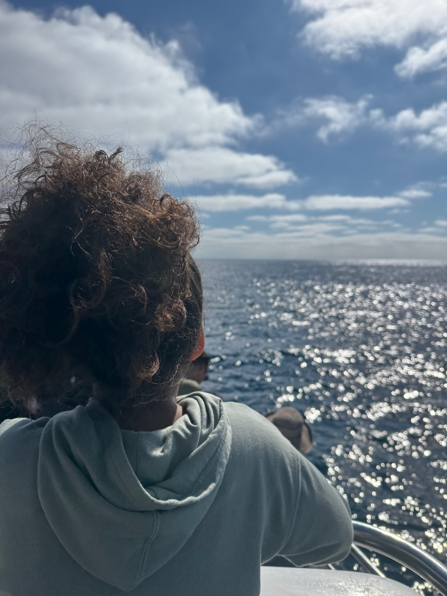 Little girl looking out at the Pacific Ocean and looking for whales. 