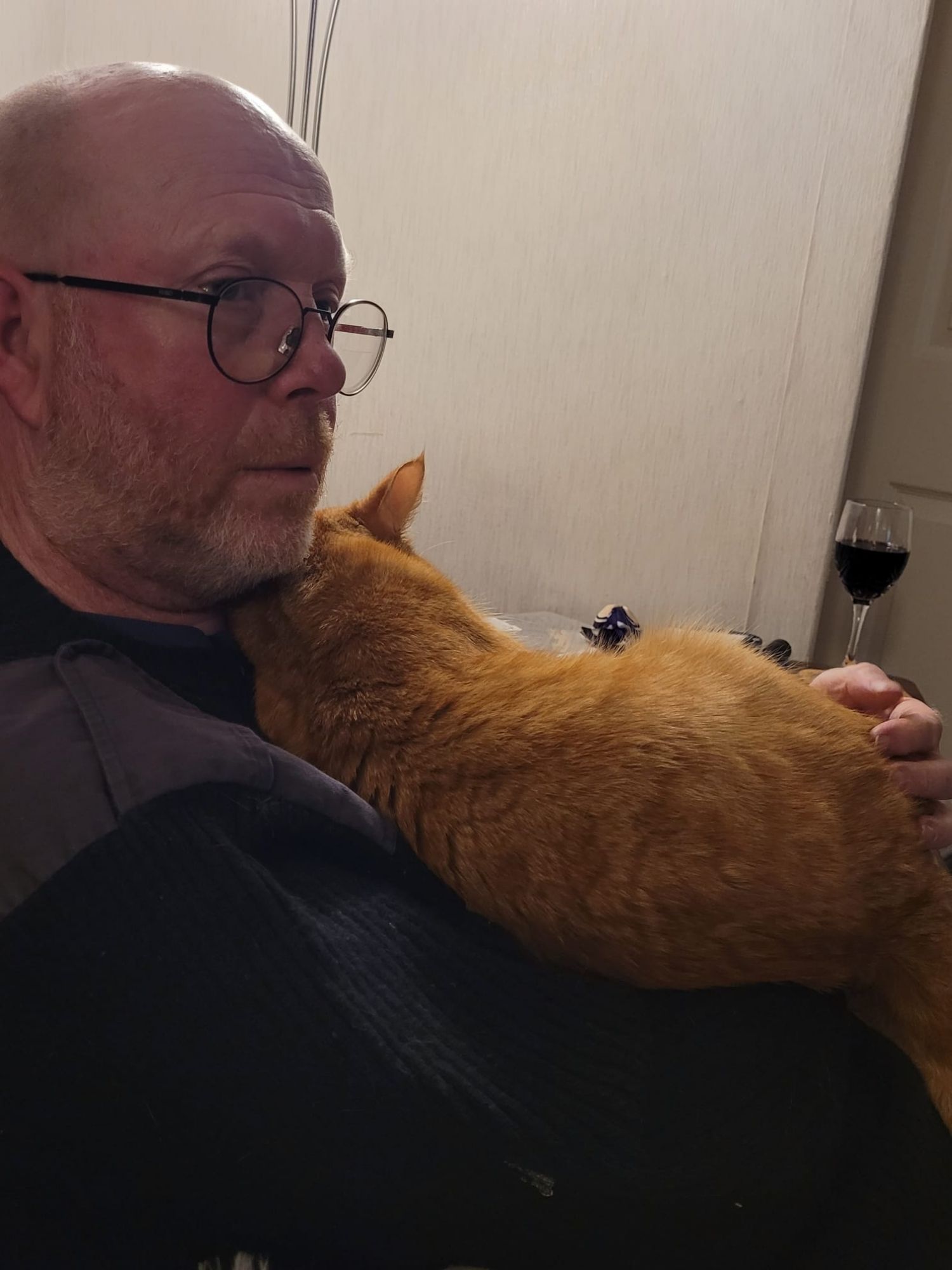 This is Smudge, I am his human, he will walk across others to get to me. I am then obliged to cuddle him until he gets bored. I didn't want that glass of wine...