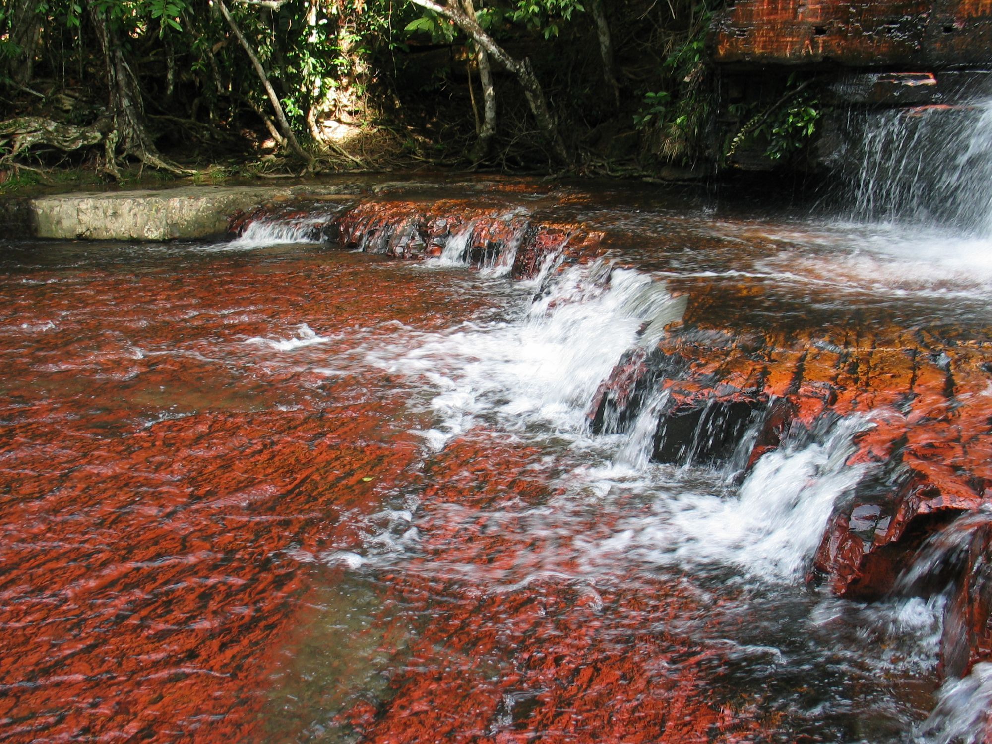 Ein seichter Fluss sprudelt eine Steinstufe hinab. Das Flussbett leuchtet rötlich. Im Hintergrund sind tropische Bäume zu sehen.