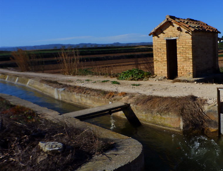 bañarnos. 
Al verlo retrocedí dos pasos. 
Por algún motivo, aunque sabía lo que podía ver, no estaba preparada para eso. Allí estaba el hombre de unos 50 años flotando boca abajo en el agua verdosa. Justo en esa parte, el canal se estrechaba unos centímetros, haciendo que el cuerpo inmóvil ya no pudiese continuar flotando en el sentido de la corriente porque chocaba con las paredes. En menos de dos segundos pude percibirlo, le faltaba media pierna derecha. No solo le faltaba, sino que la sangre salía de ella a cantidades inmensas mezclándose con el agua grisácea. Sentí como mi estómago daba vueltas mientras traté de sacar lo poco que me quedaba de voz: 
- Hay que llamar a la policía. Ahora. -fue lo único que pude decir. Puse una mano en el hombro de Carla, quien seguía con sus grandes ojos verdes fijos en el agua.