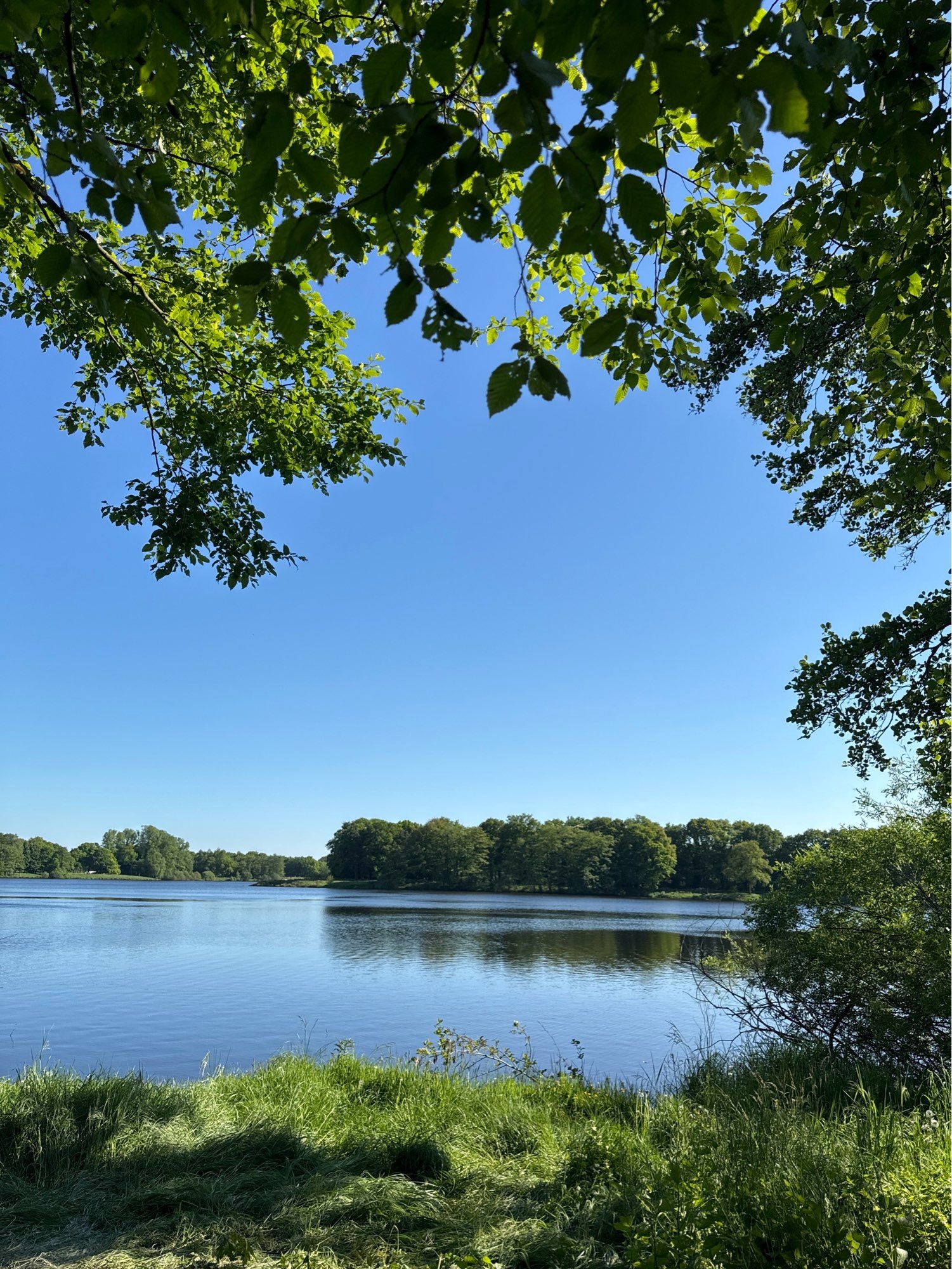 Ein Blick auf einen See (Tweelbäker See), im direkten Vordergrund grünes Gras auf dem sich Schatten der Blätter abzeichnen. Der obere und rechte Rand ist von Baum-Blättern umrandet. Der See spiegelt den blauen Himmel und eine Gruppe von Bäumen in der Ferne.