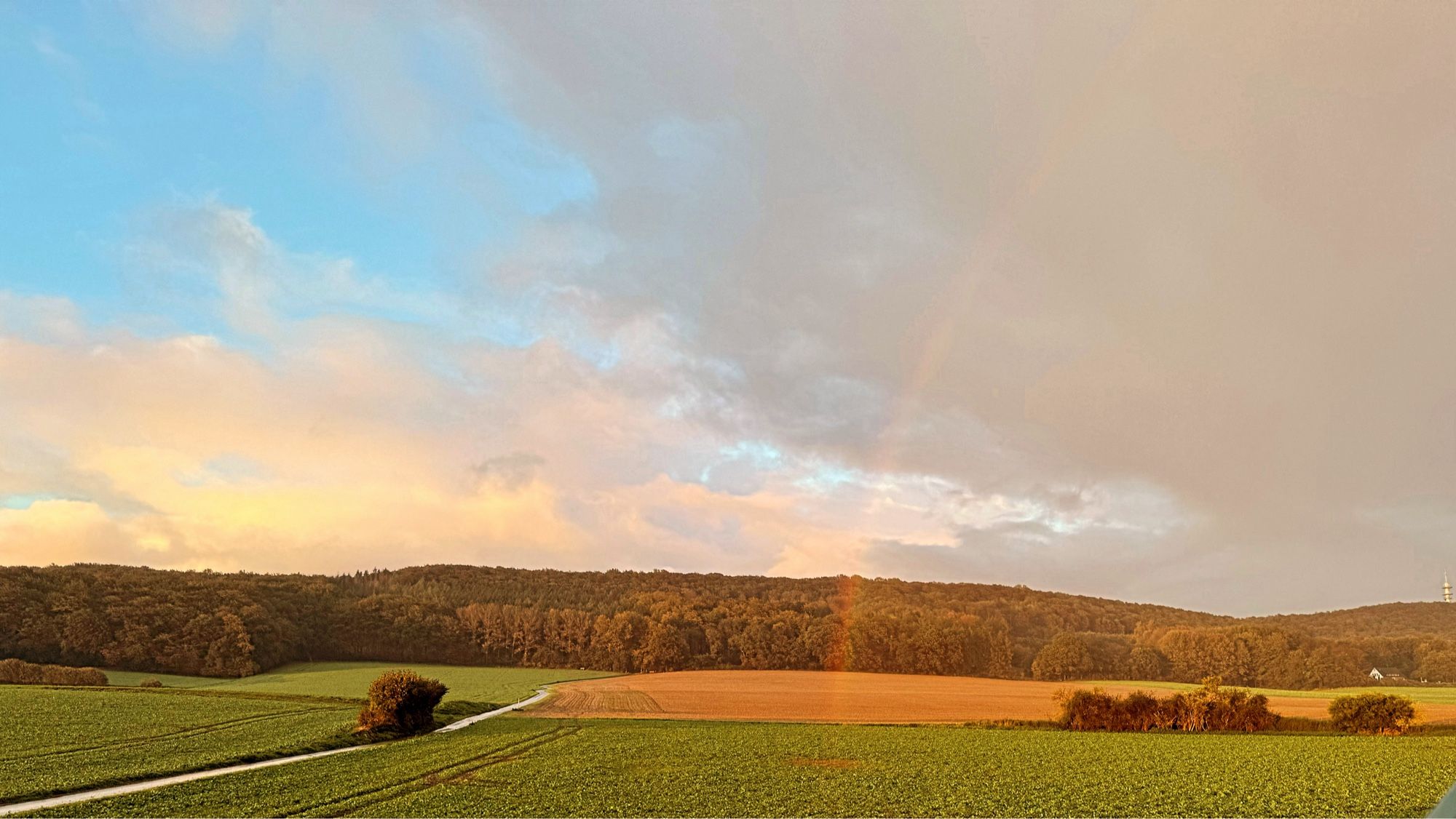 Snapshot of a rainbow terminating in a field. The Teuteburger Forest in the background.