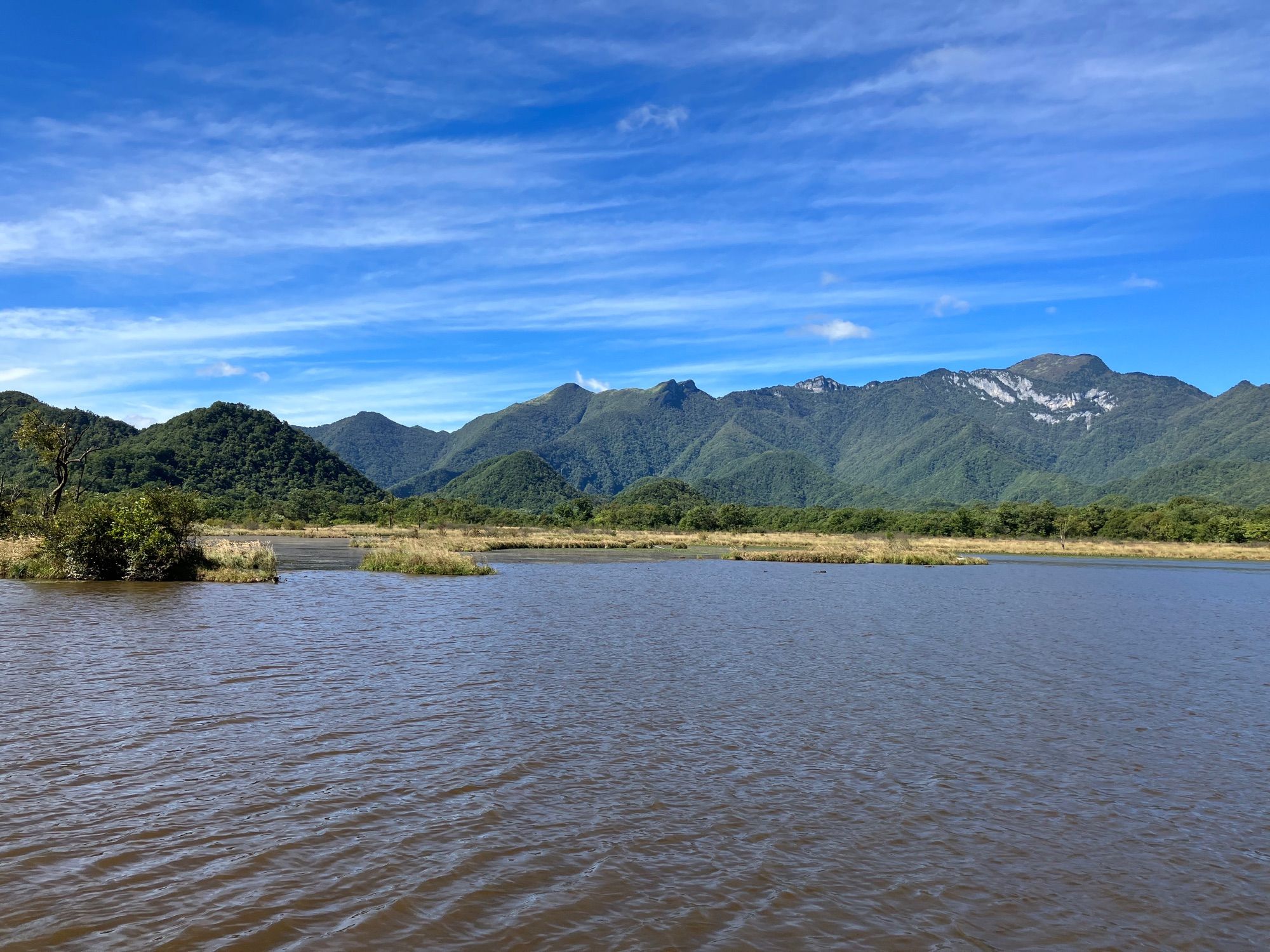 Wetlands area with mountains in the background.