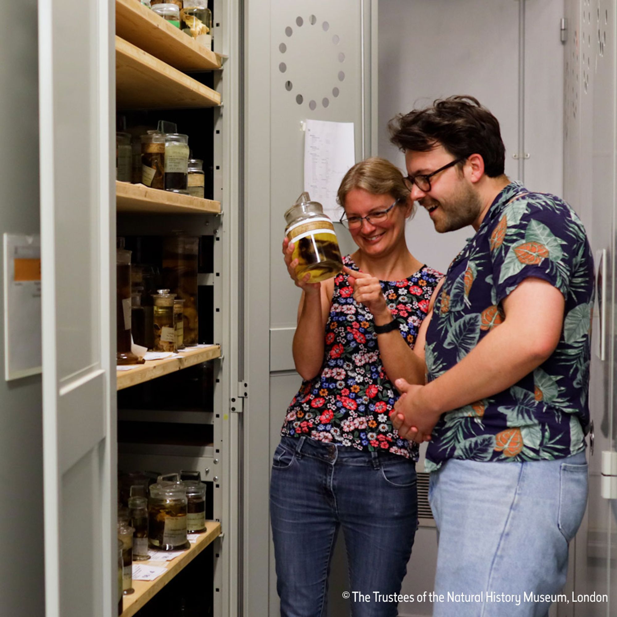 Me in a flowery top standing in front of an open cupboard full of jars, pointing lovingly at a tenrec in a jar as another person (Connor), also in a foliage themed shirt, looks suitably impressed.