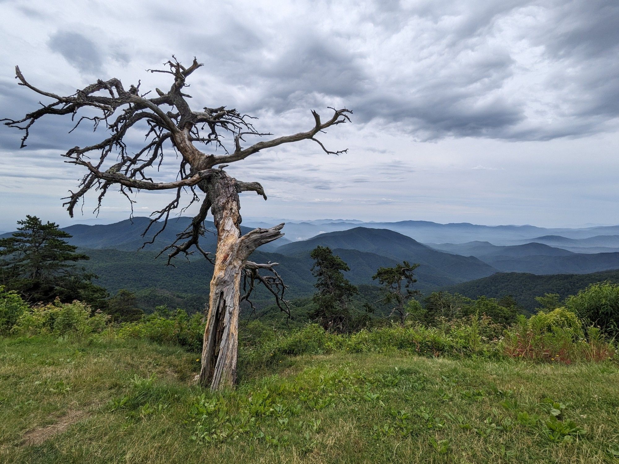 Picture of mountains in fog from the Blue Ridge Parkway in North Carolina.