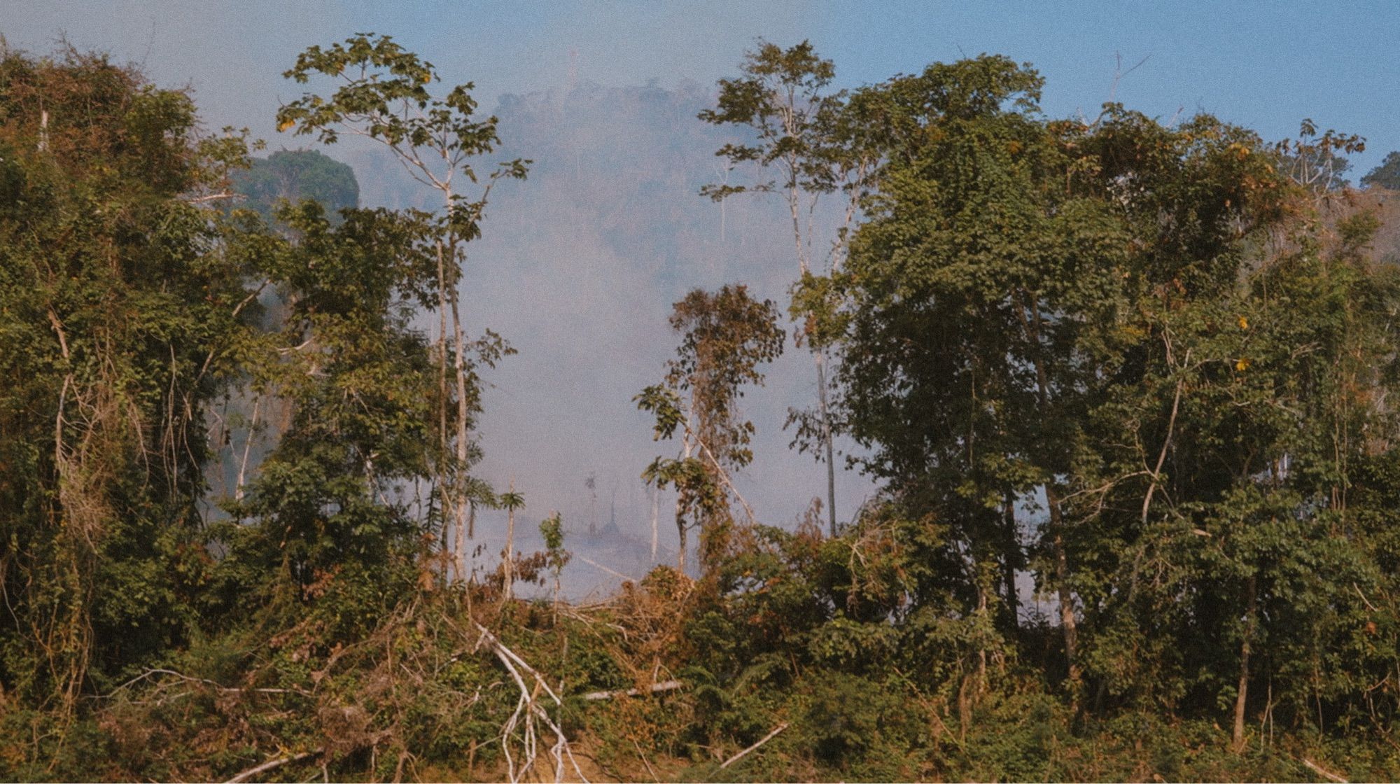 Photographie d’un incendie pour déboiser une terre prise en Amazonie.