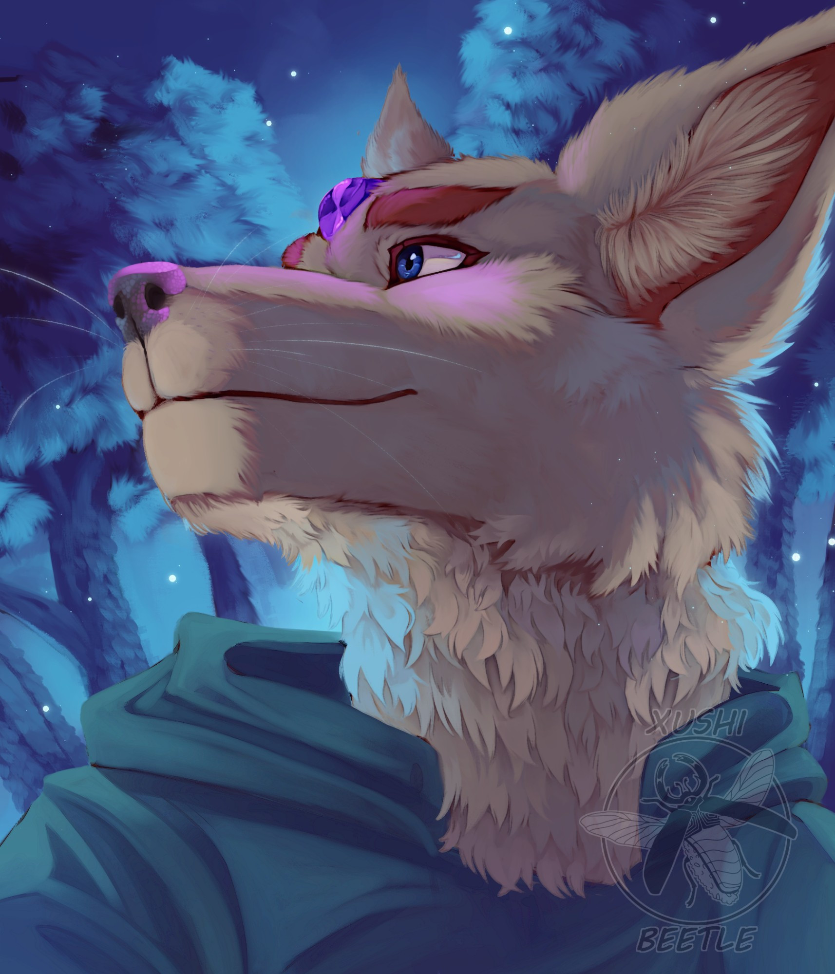 A wolf standing in a blue lit forest at night, the light backlighting the wolf. He is looking up to the left of the screen off into the distance. He is wearing a hoodie and has a purple crystal on his forehead