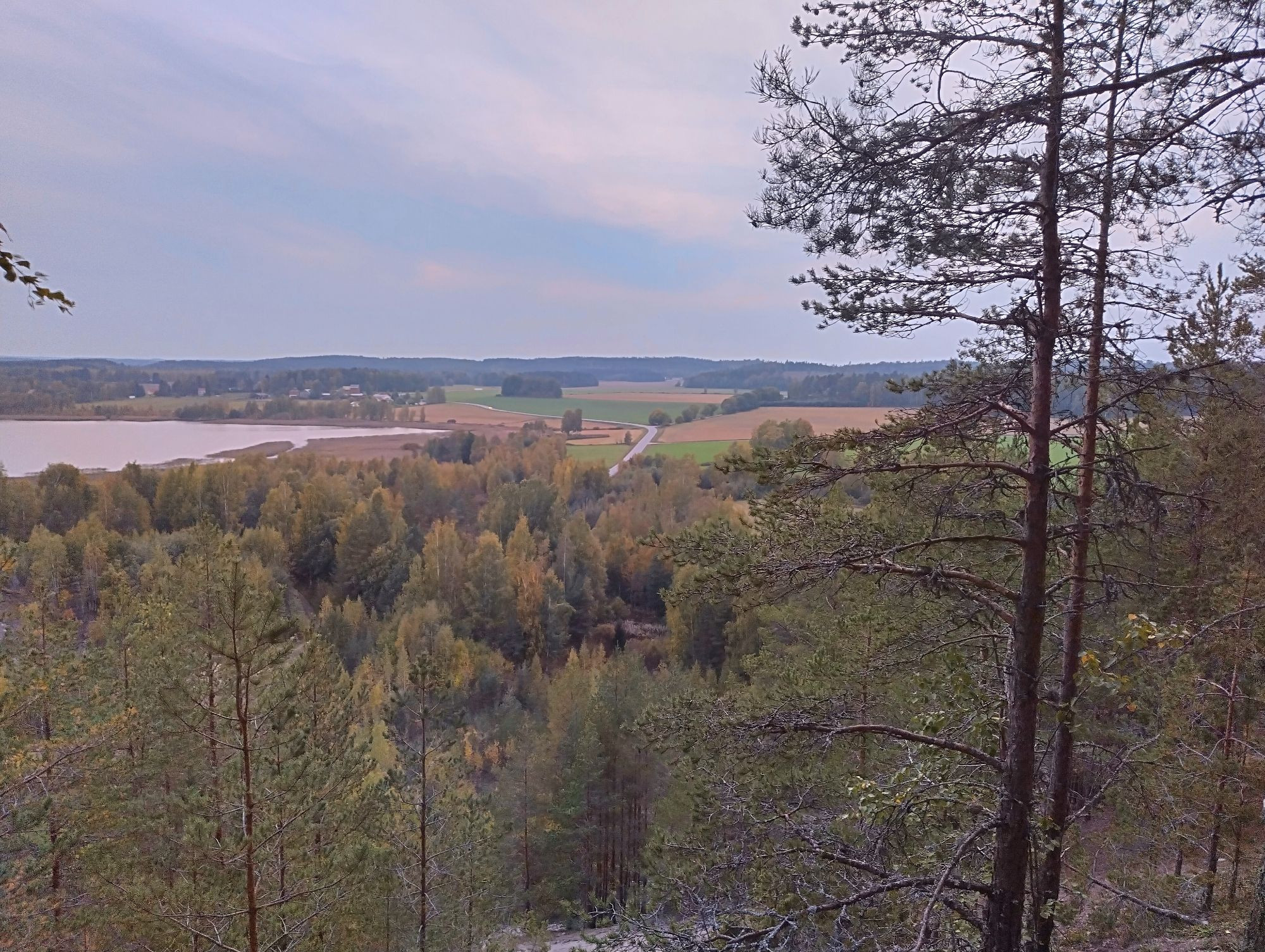 A view over an autumn landscape, with some remnants of green.