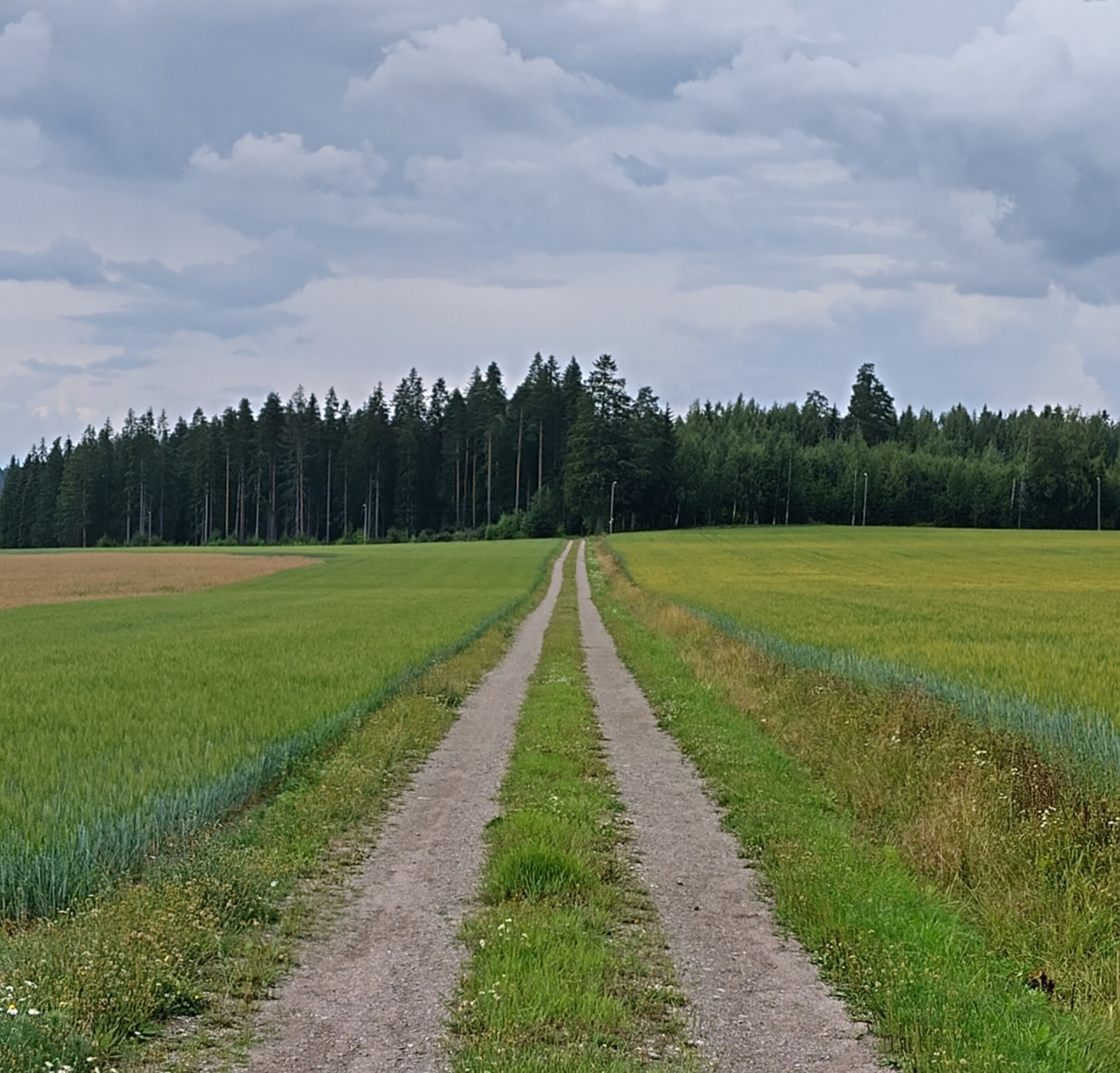 A gravel road running into the horizon amongst a green field