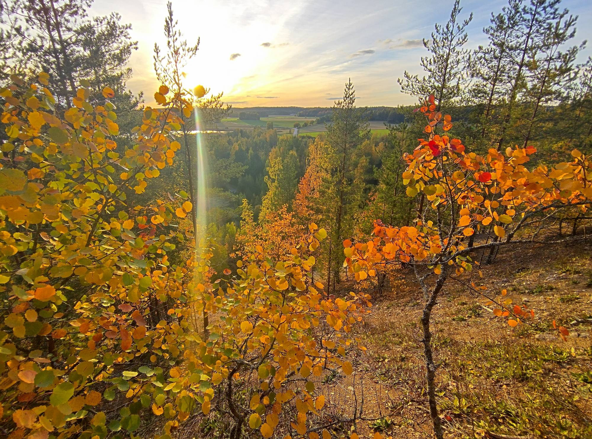 Sunset in an autumn scenery