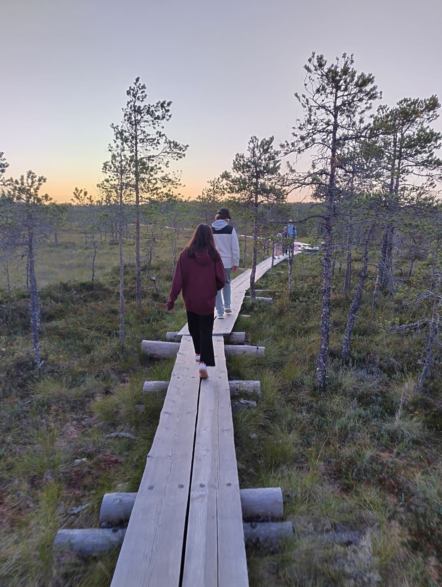 Marshland, people walking