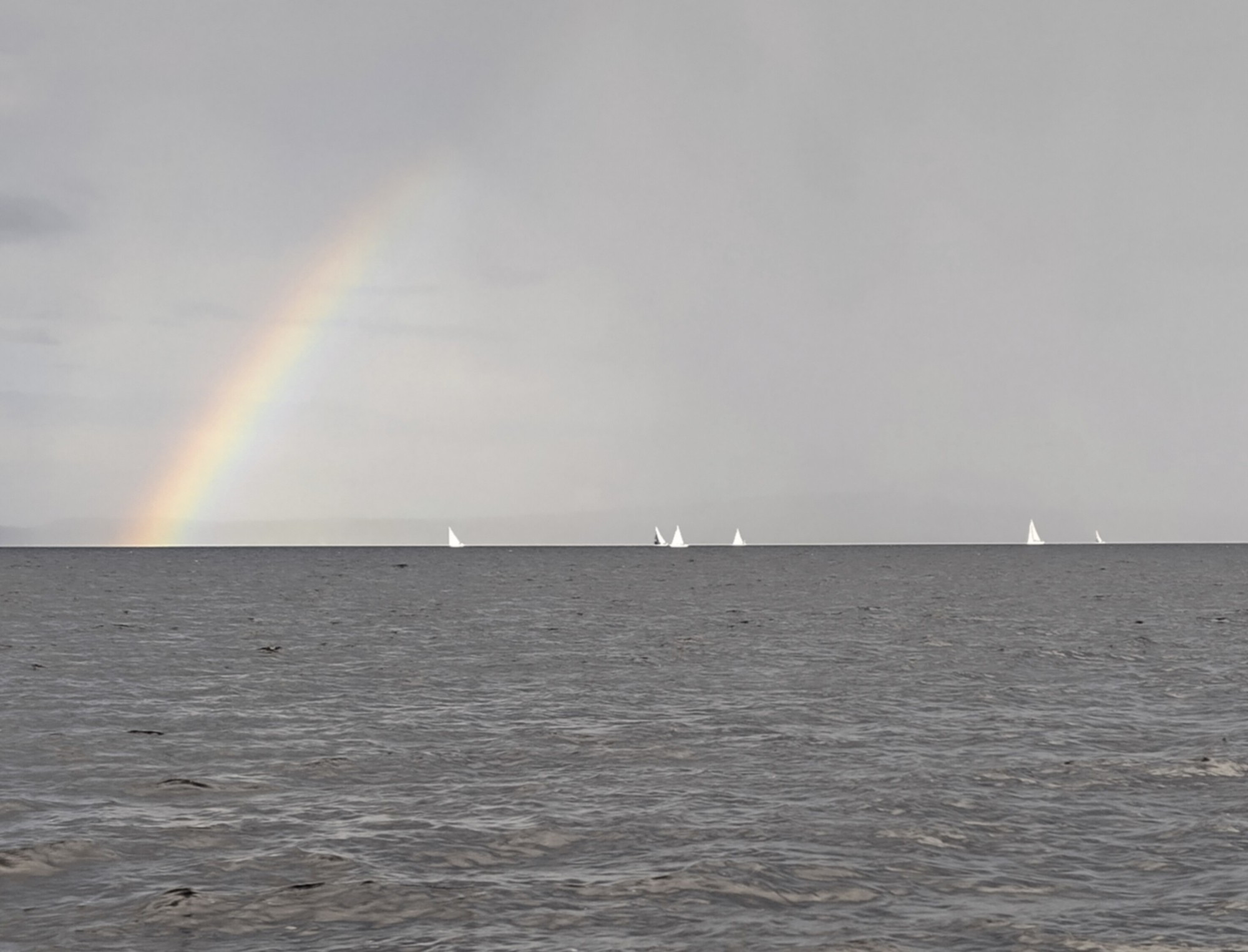 Almost monochrome scenery of a lake, with sails in the horizon, and a rainbow emerging from the water surface