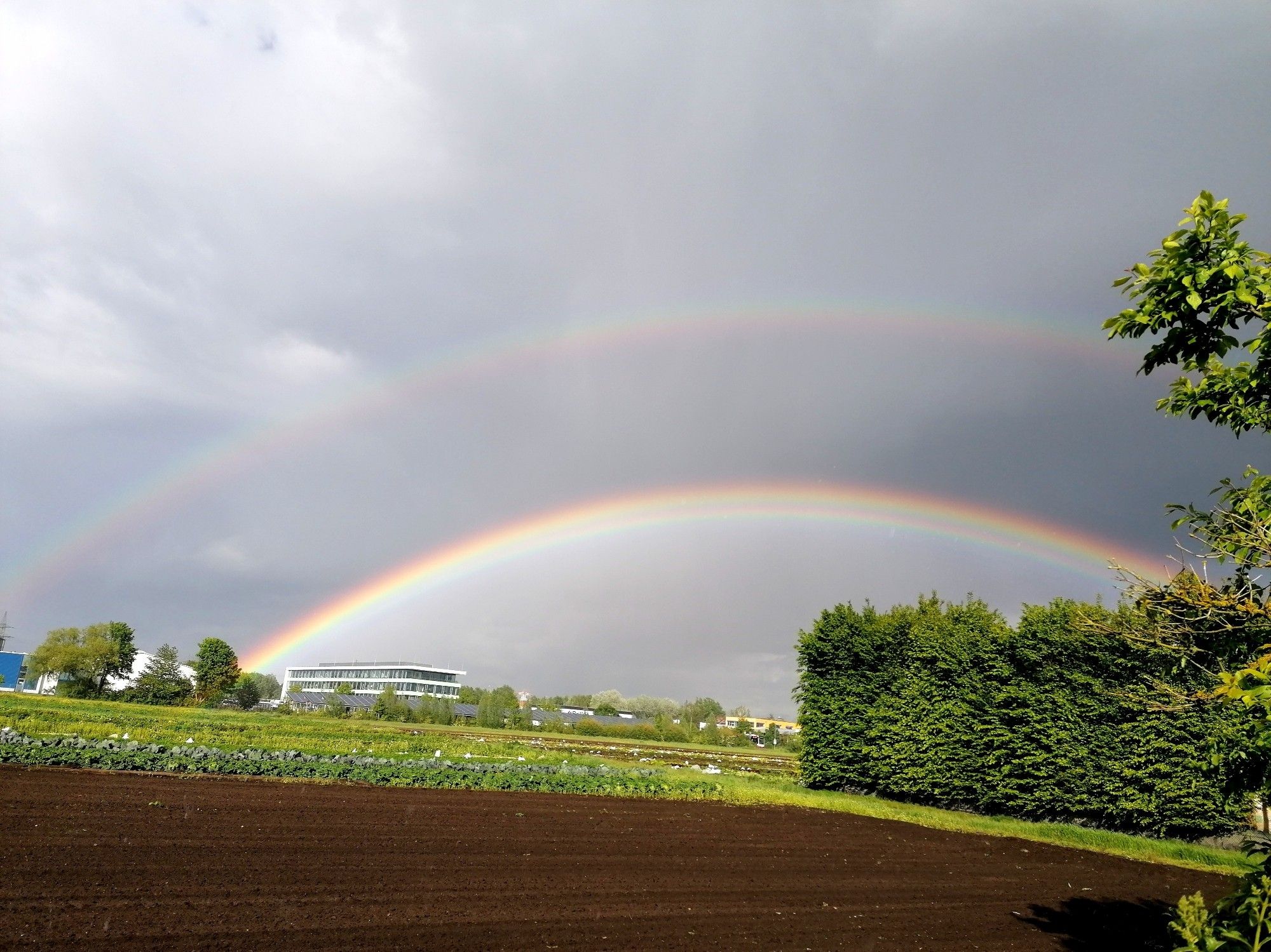 Bild eines Doppelregenbogens, als perfekter Kreis. Zu sehen ist natürlich kein kompletter Kreis, schätze 15Grad.. an beiden Kanten, innen mehr als außen, sind starke Farben sichtbar,  rot, grün, gelb dominieren. Aufgenommen vor einem frisch gepflügtem Feld, Bäumen, Wiese und ein längliche,Haus im Hintergrund.