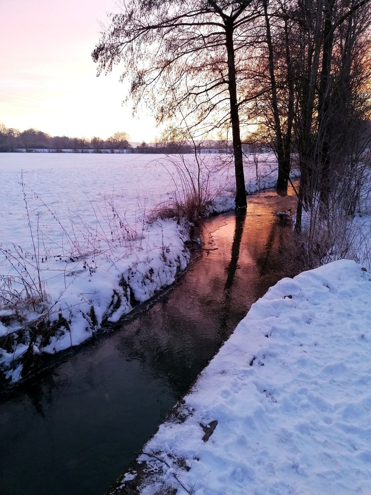 Ein kleines Bächlein im Winter. Weißer Schnee liegt links und rechts am Ufer. Die Morgensonne spiegelt sich im ansonsten dunklen Wasser, sie selbst versteckt sich hinter ein paar Bäumen.