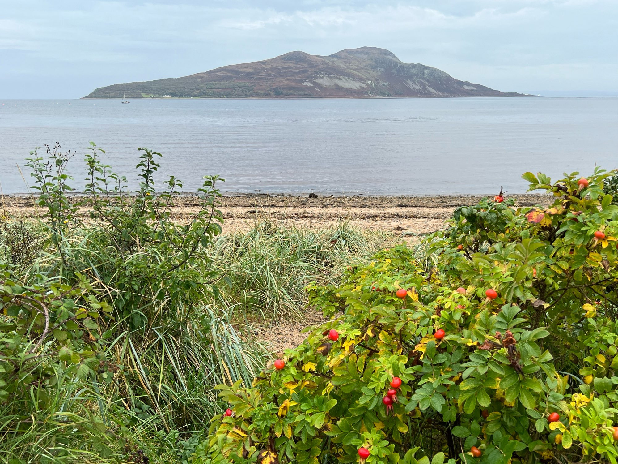 Holy Isle - interfaith retreat centre