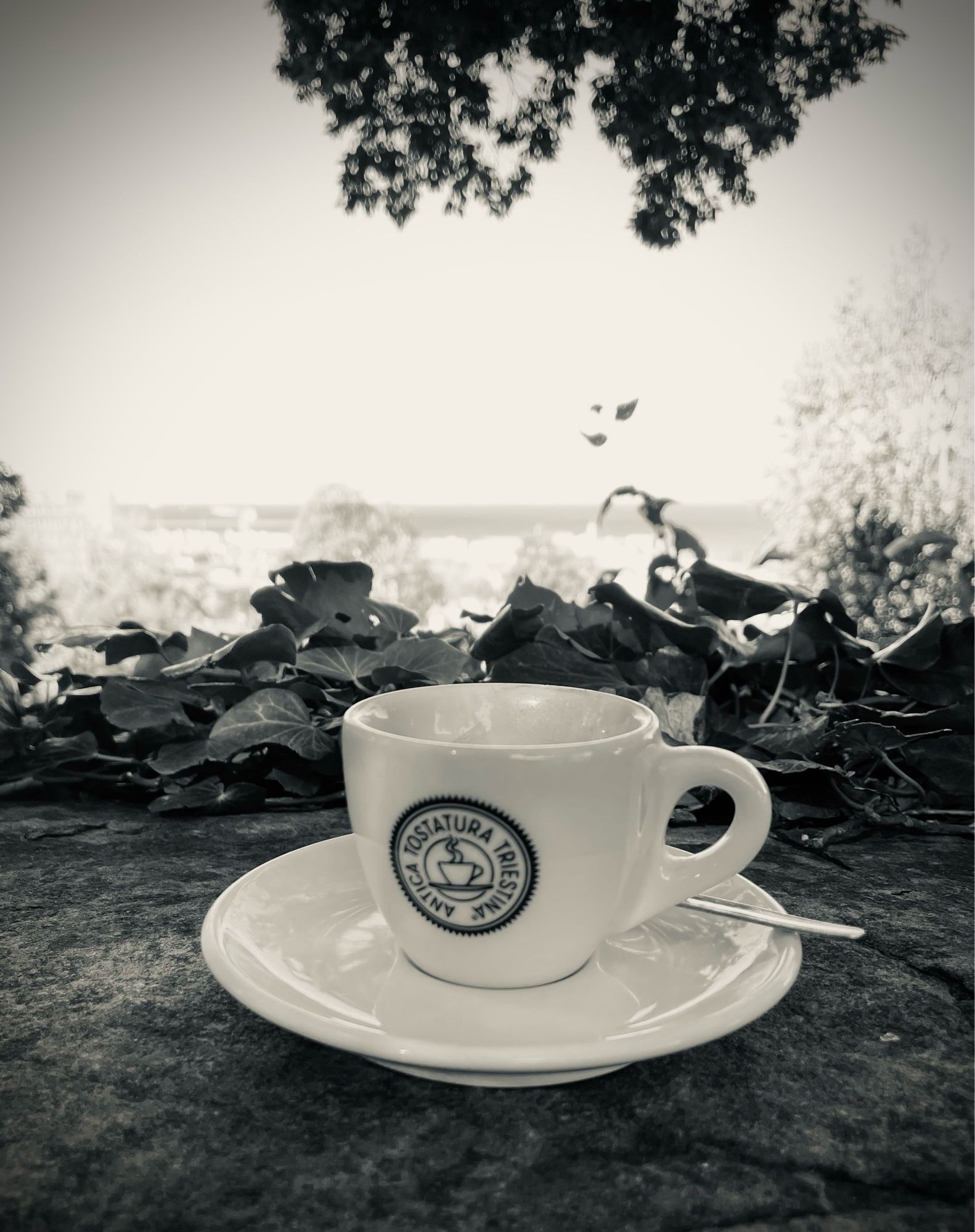 An espresso cup sits on a wall overlooking a view of the harbour.  It was very good coffee.  Trieste is famous for it.