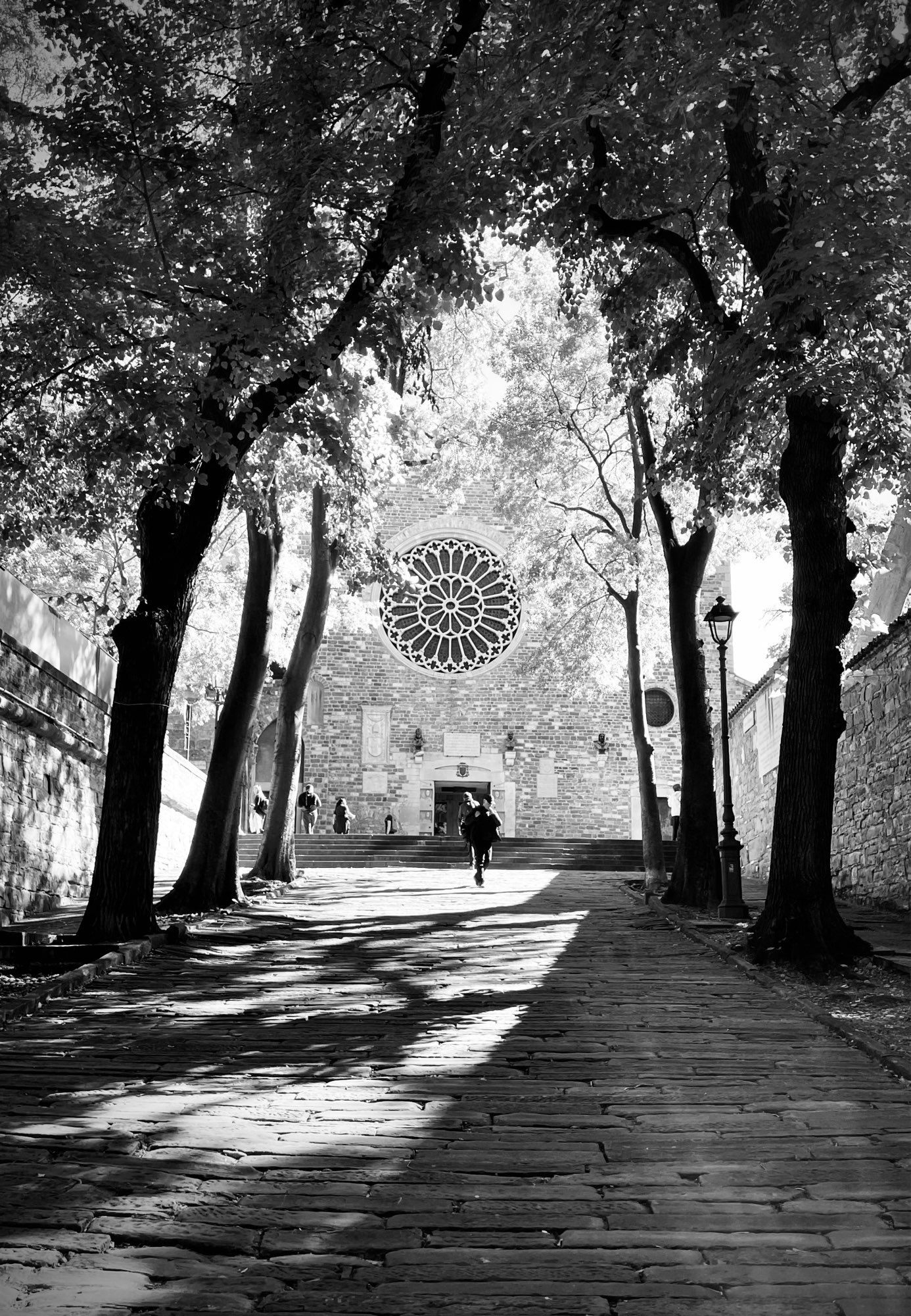 View up a tree lined cobbled hill to a cathedral with a rose stained glass window.