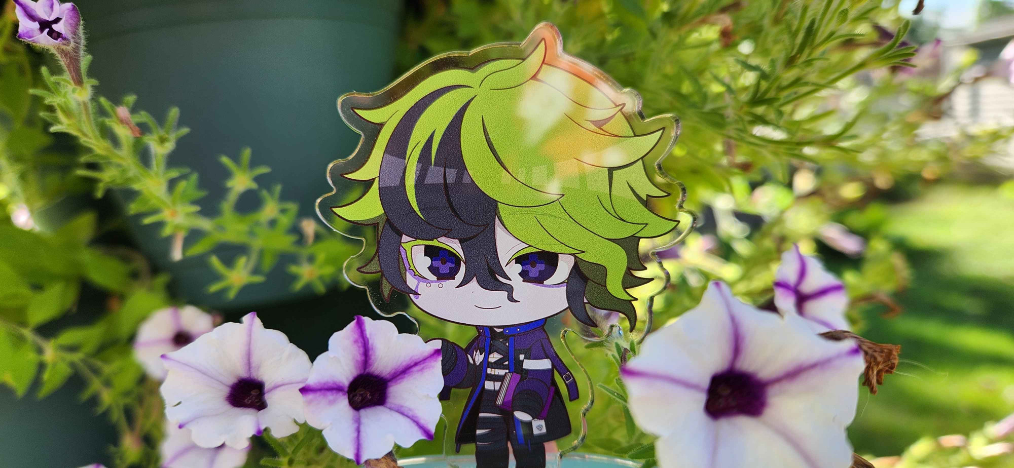 A photo of a chibi acrylic standee of the character Vivia Twilight. He's in the middle of some violet star petunias, posed to look like he's touching one.