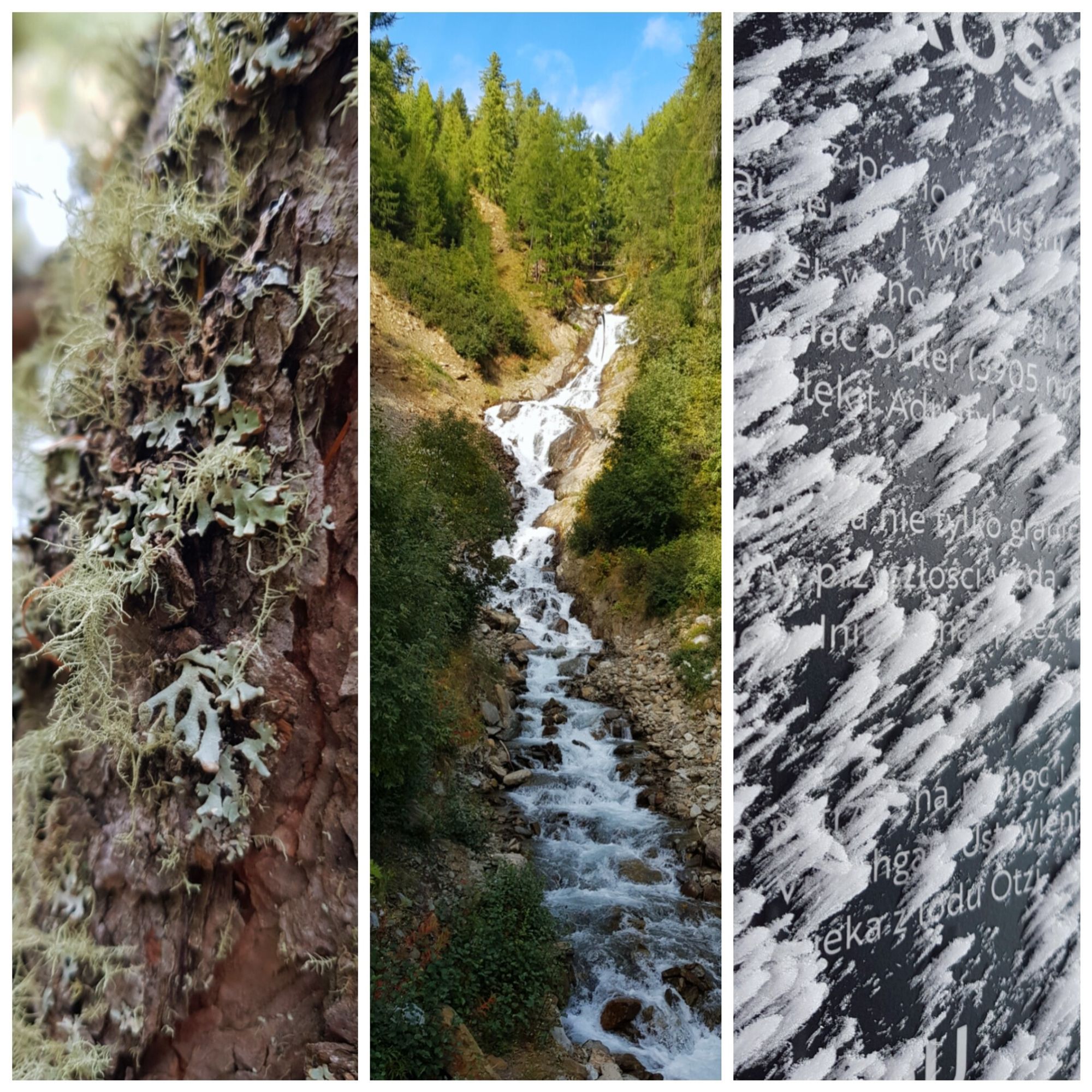 Photos of bark covered in lichen, a waterfall and a sign covered in icy snow.