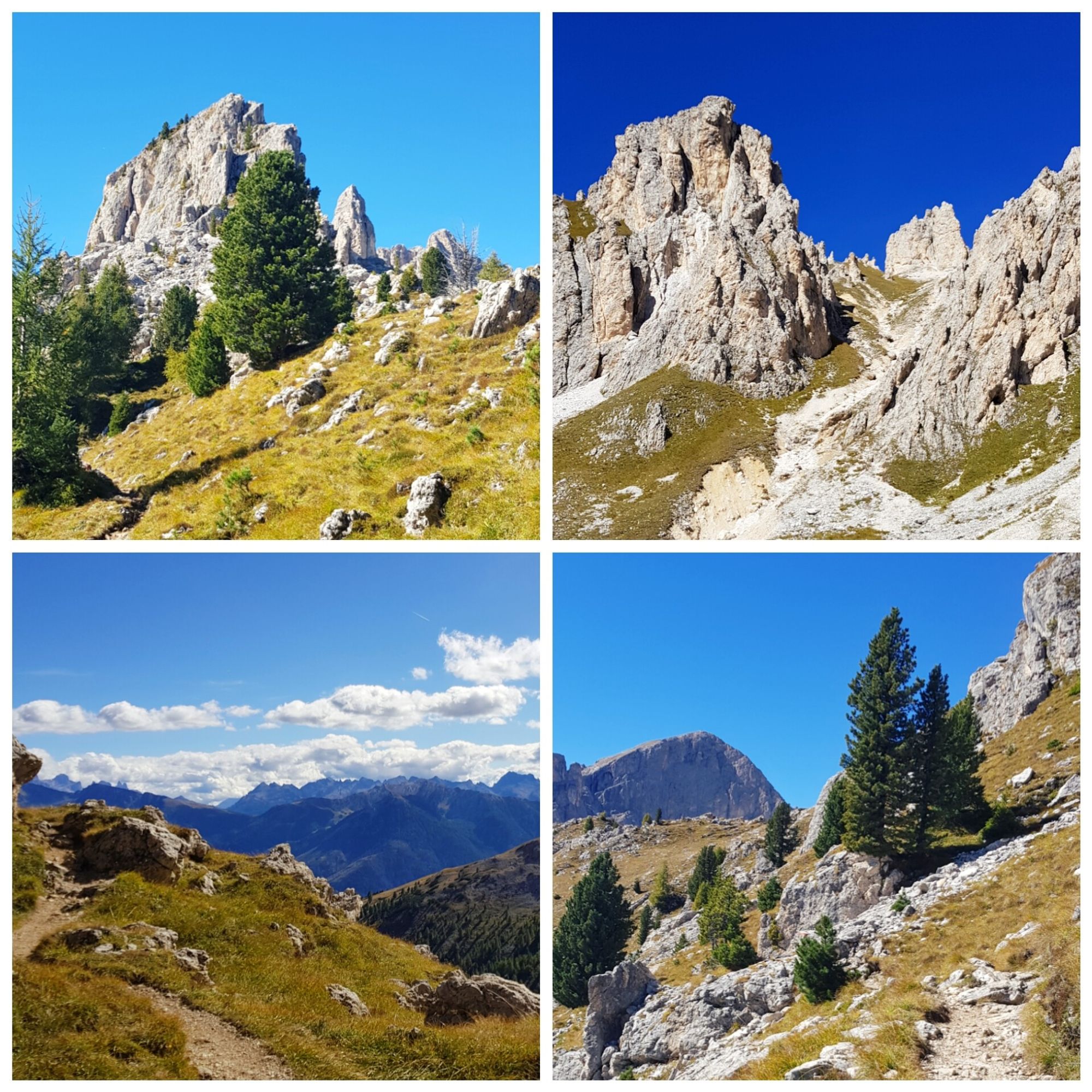 4 photos of mountain landscape with many rocks, some pine trees and a clear blue sky.
There are mountains in the distance.