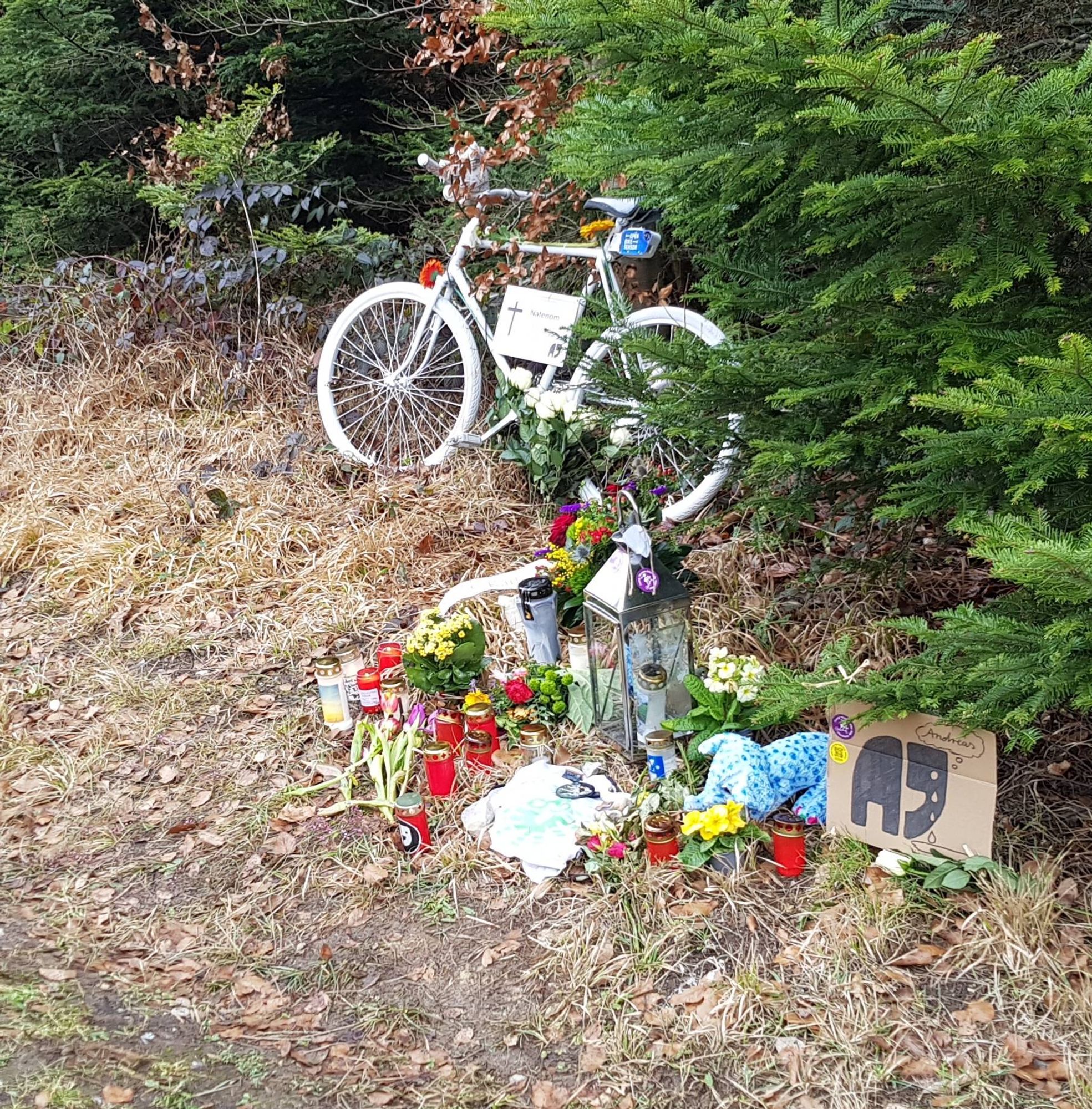 weißes Geisterfahrrad für Andreas Mandalka, der am 30.1.24 auf einer seiner alltäglichen Strecken von einem Autofahrer im Wald überfahren und getötet wurde, mit Blumen und dem Natenom-Elefanten, seinem Blog-Symbol, am Straßenrand an einem Baum.