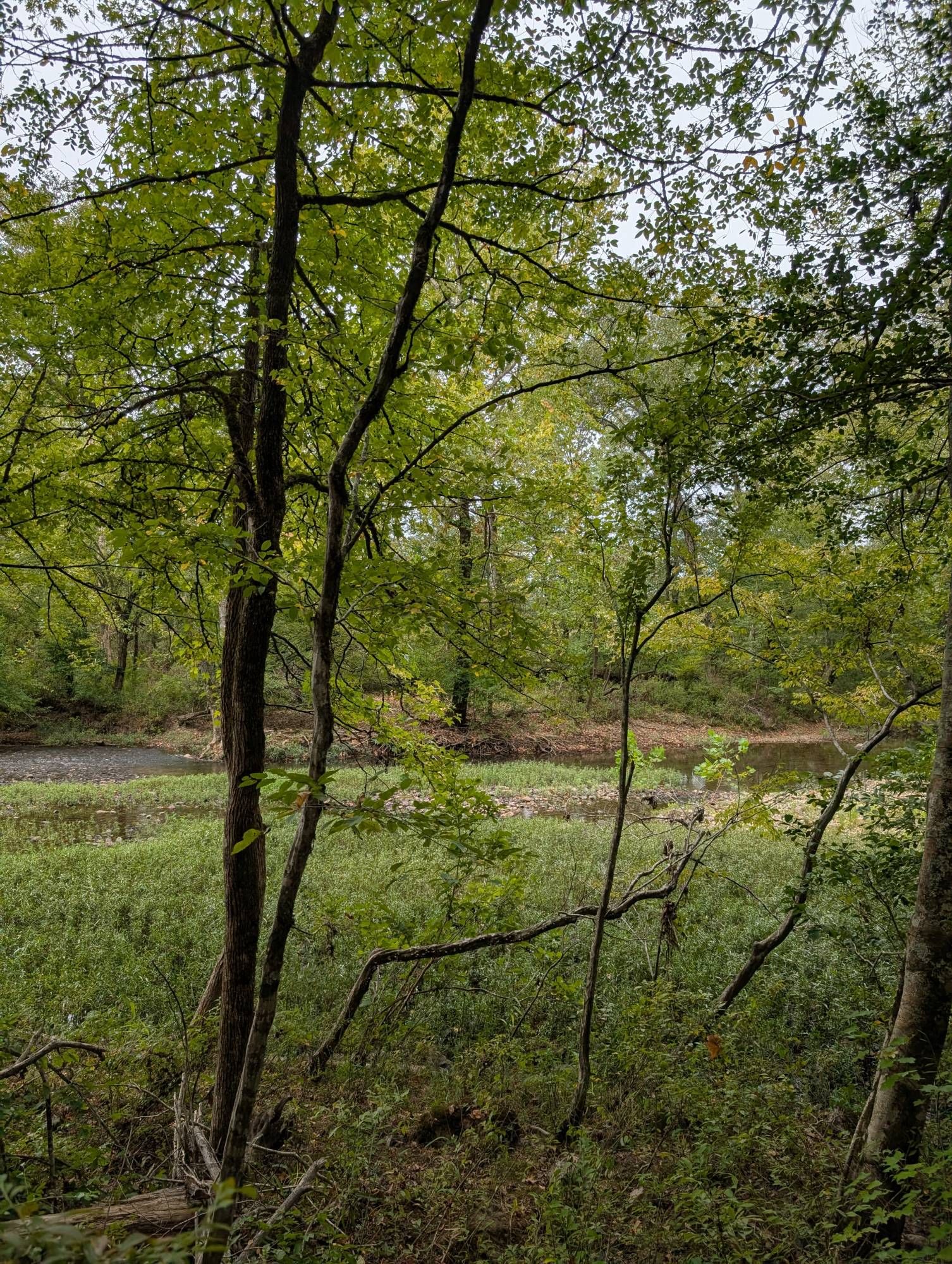 At the edge of the river