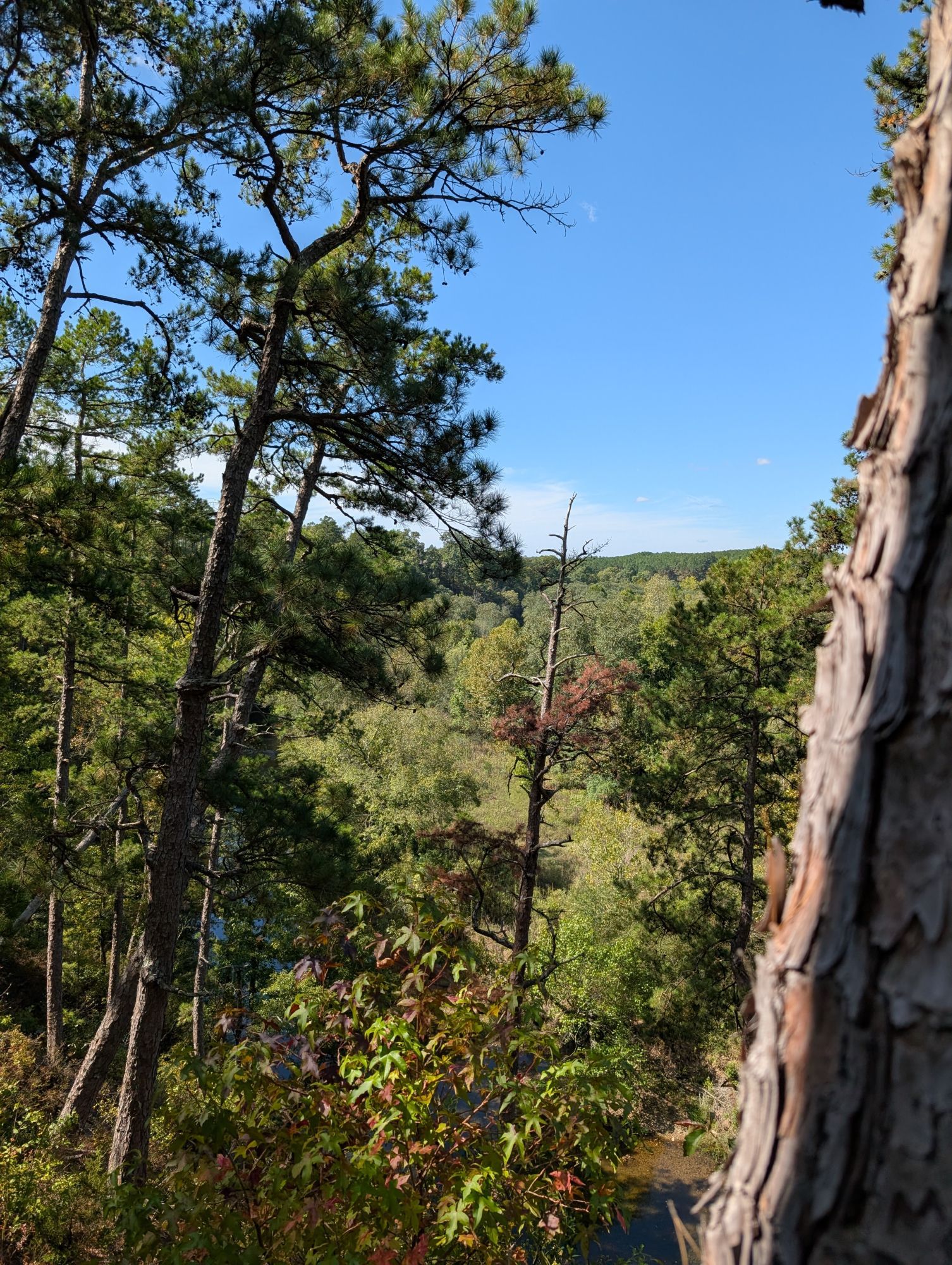 Another wooded slope above the river