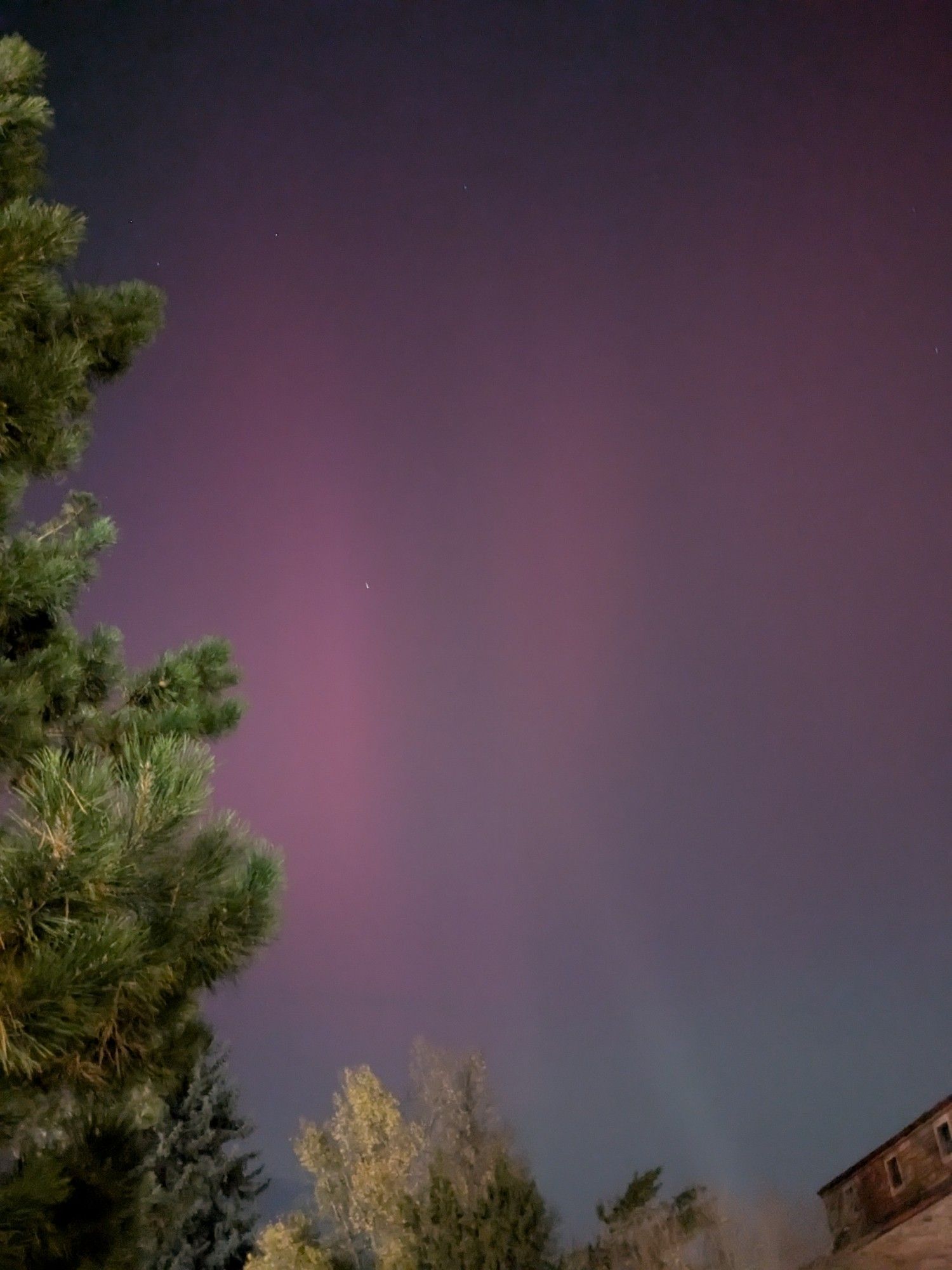 Pinky red aurora over a building and trees