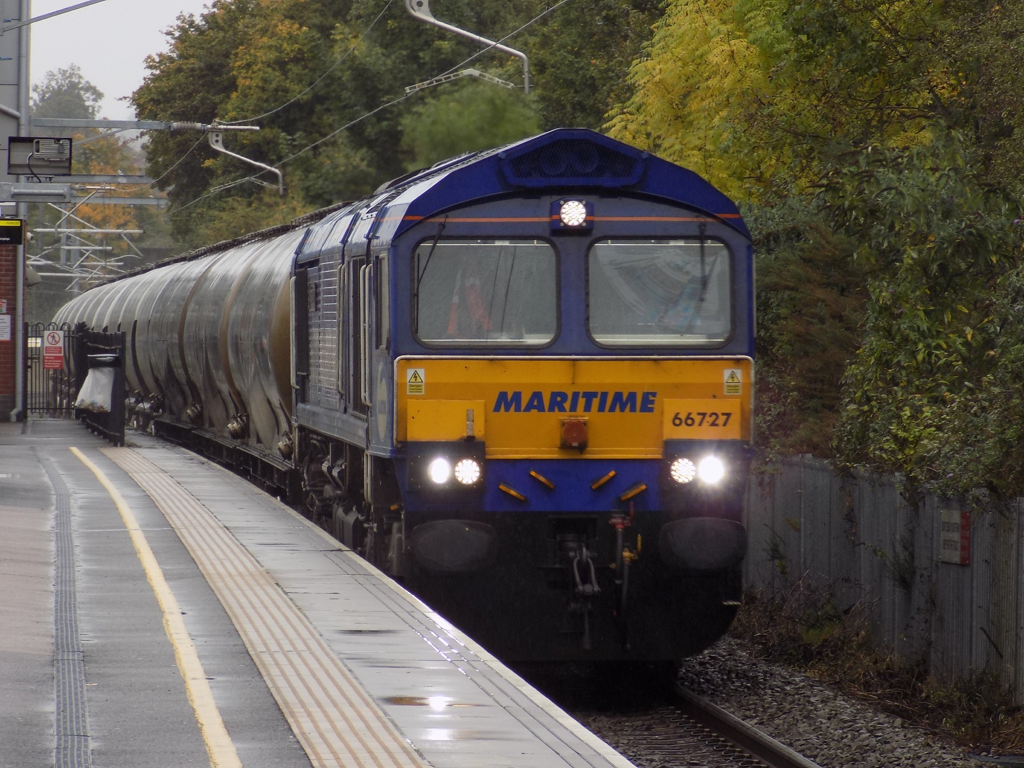 A photo of a Class 66 freight train, in a blue and yellow DB 'Maritime' livery, hauling numerous wagons, seen passing the platform at Bromsgrove railway station. The platform is damp with a few puddles, and there are trees lining the side of the track. The sky is covered with gray clouds which are only visible in the top left of the image.