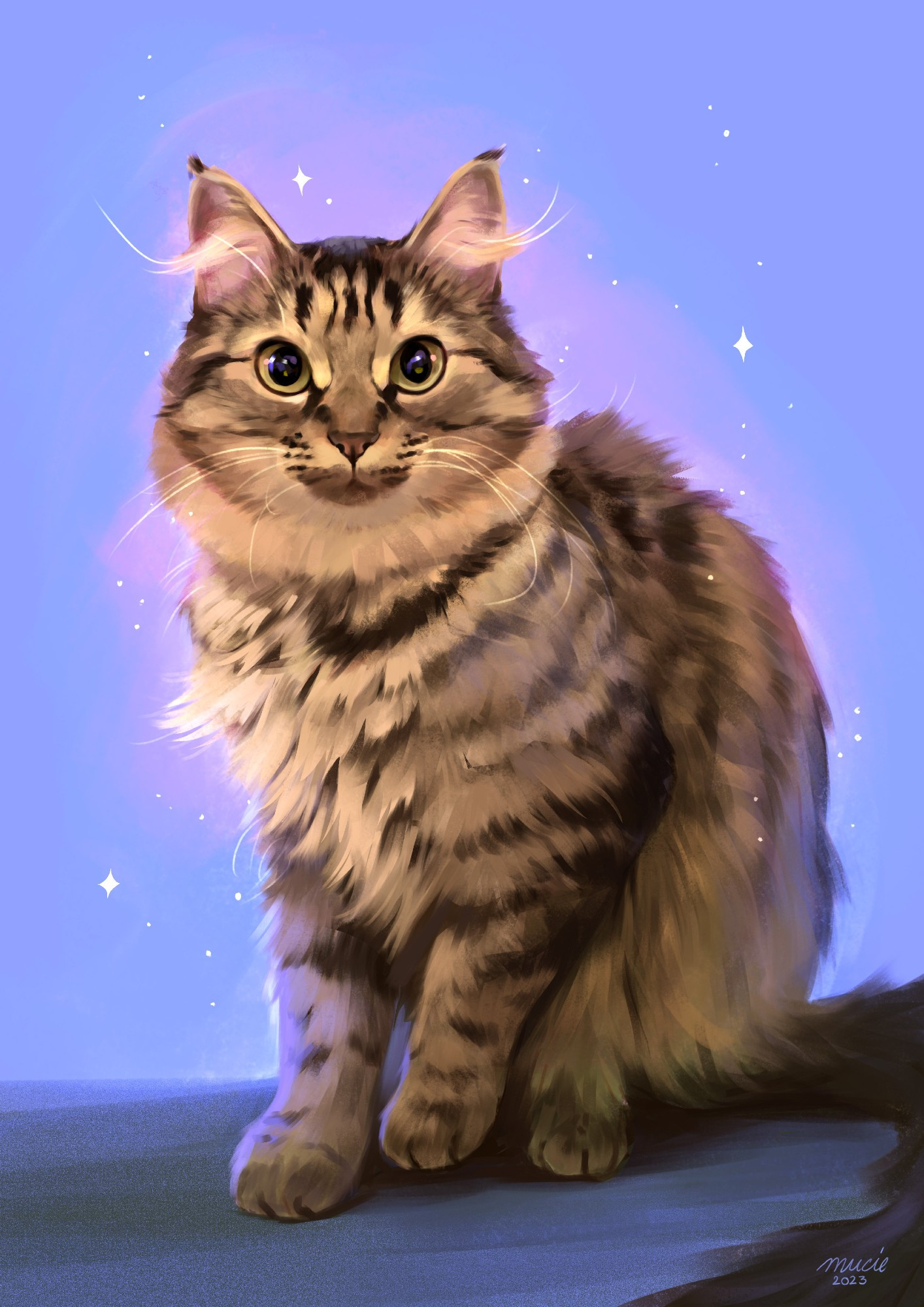 a cute tabby cat with longhair, on a purple background