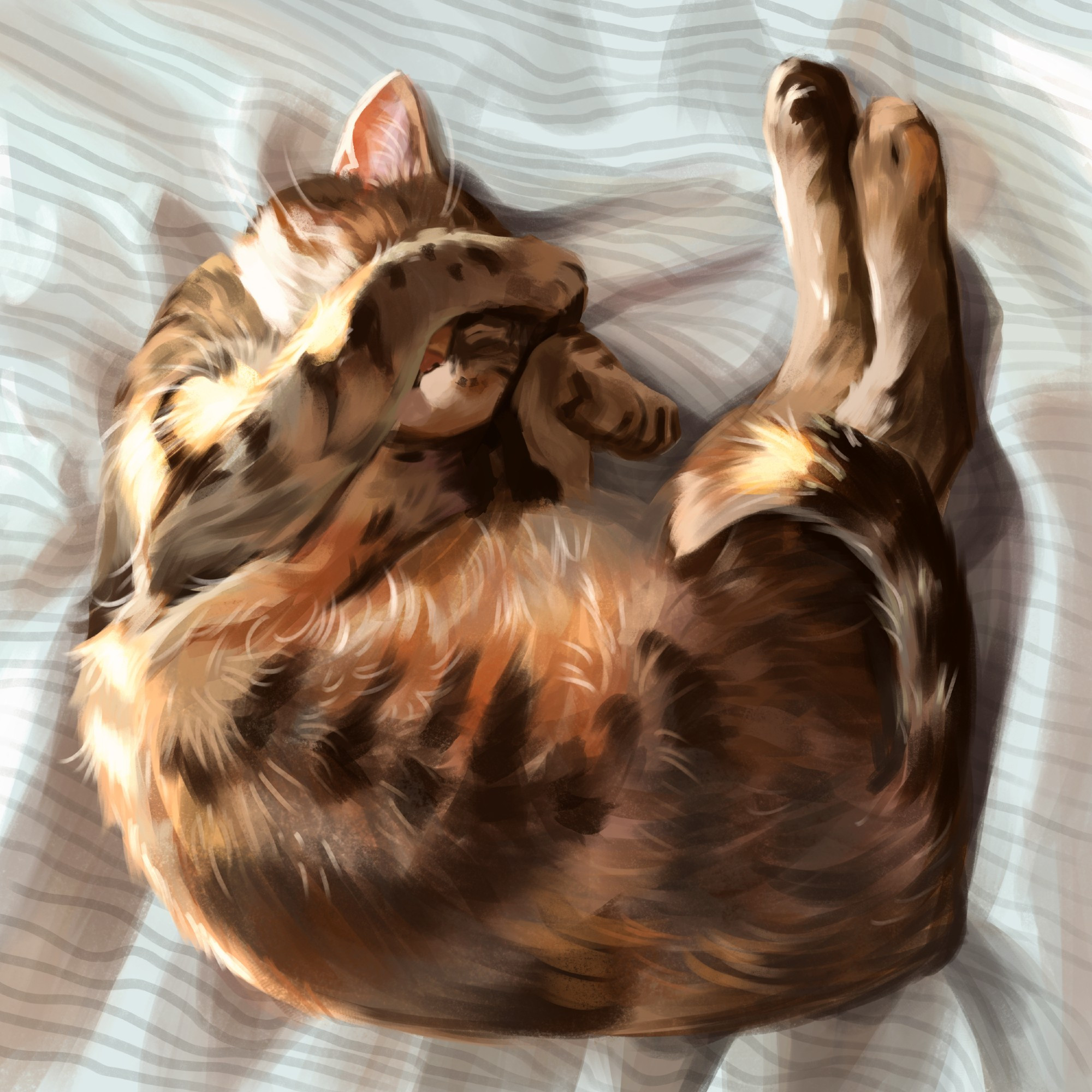 My cat, she's a mix of tortie, tabby and ginger, she's curled up on my bed