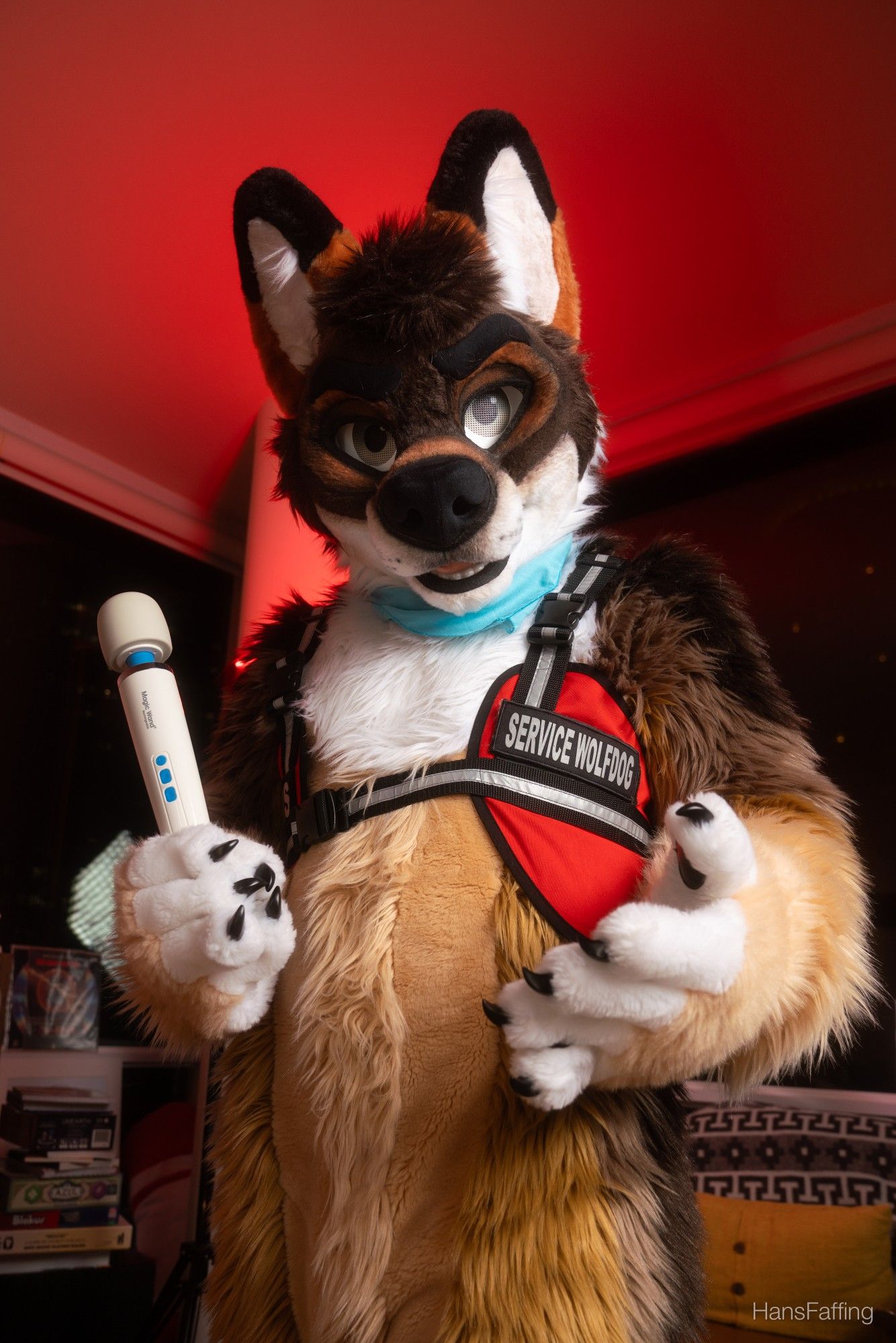 hans fursuit is in a service dog vest that says "Service Wolfdog" and is holding and offering a dog collar and leash