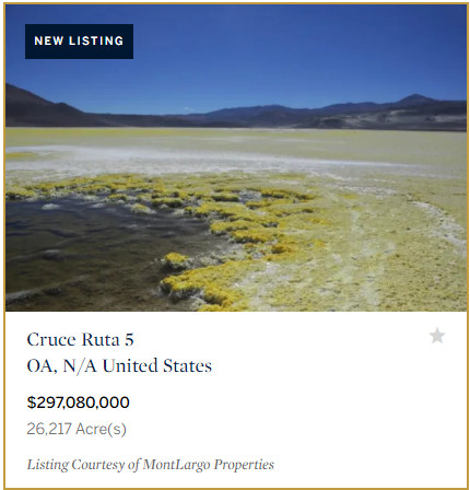 A listing for a Chilean salt mine advertised at $297,080,000 for the 26,217 acre property. The accompanying picture shows a vast whitish-green salt flat with dark mountains in the distance.