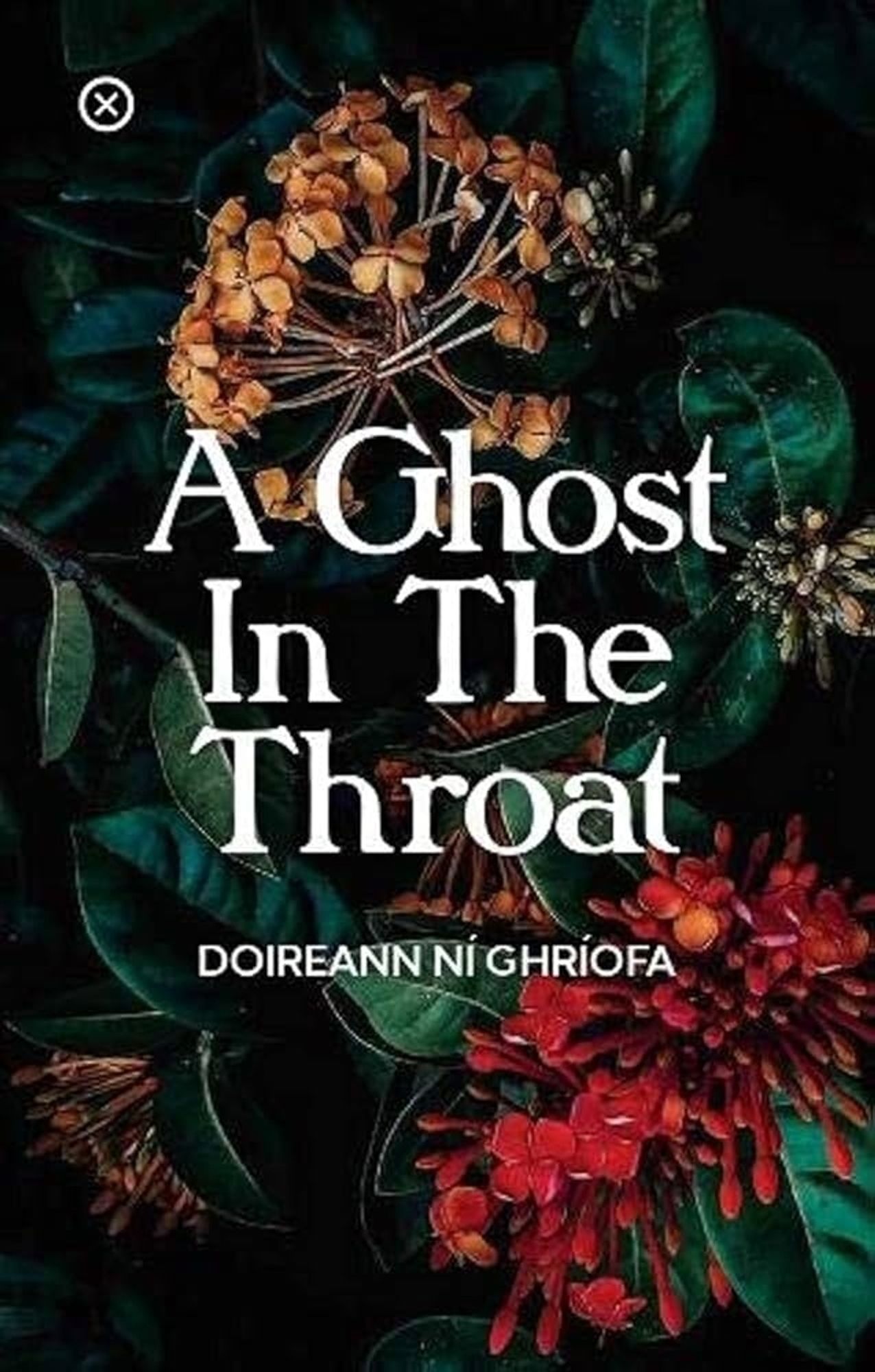 Buchcover von Doireann Ní Ghríofas "A Ghost in the Throat"