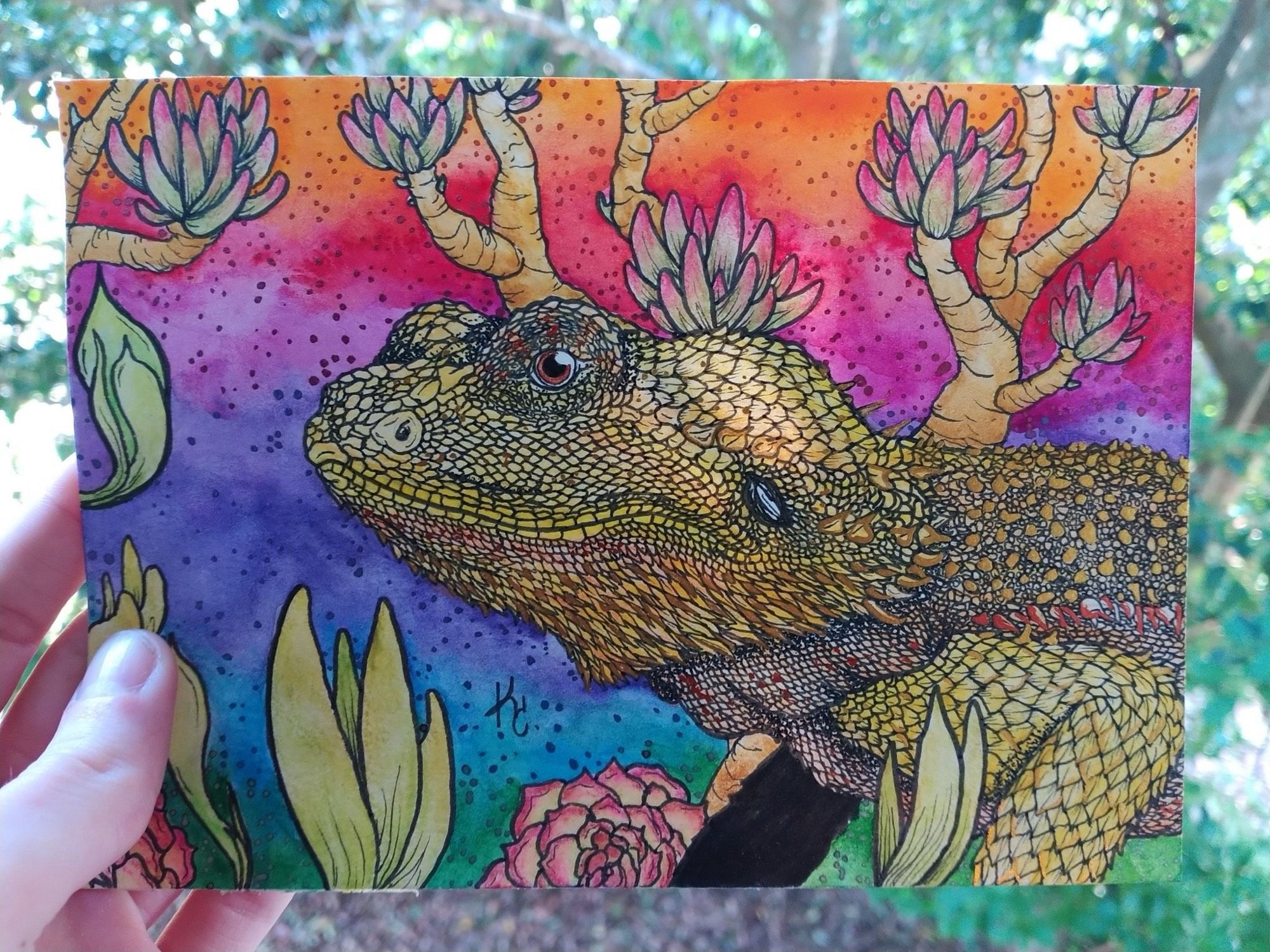 Colorful watercolor sky, succulents, and a sweet beardie