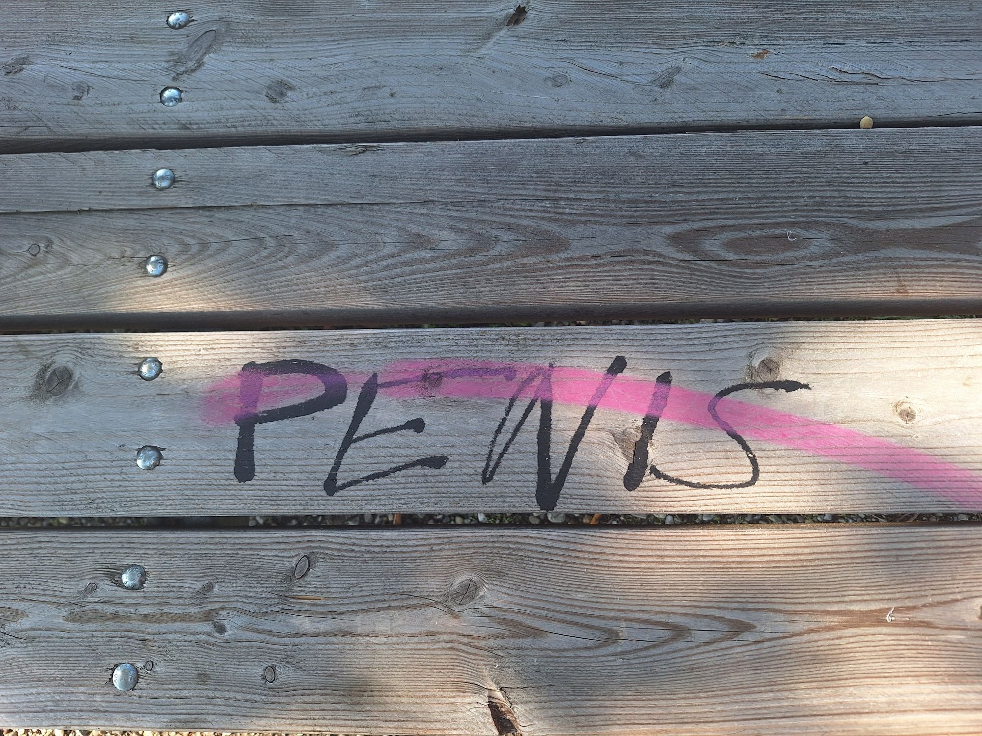 Auf einer Holzbank das Wort "Penis" in schwarz und in rosa wieder durchgestrichen, ...