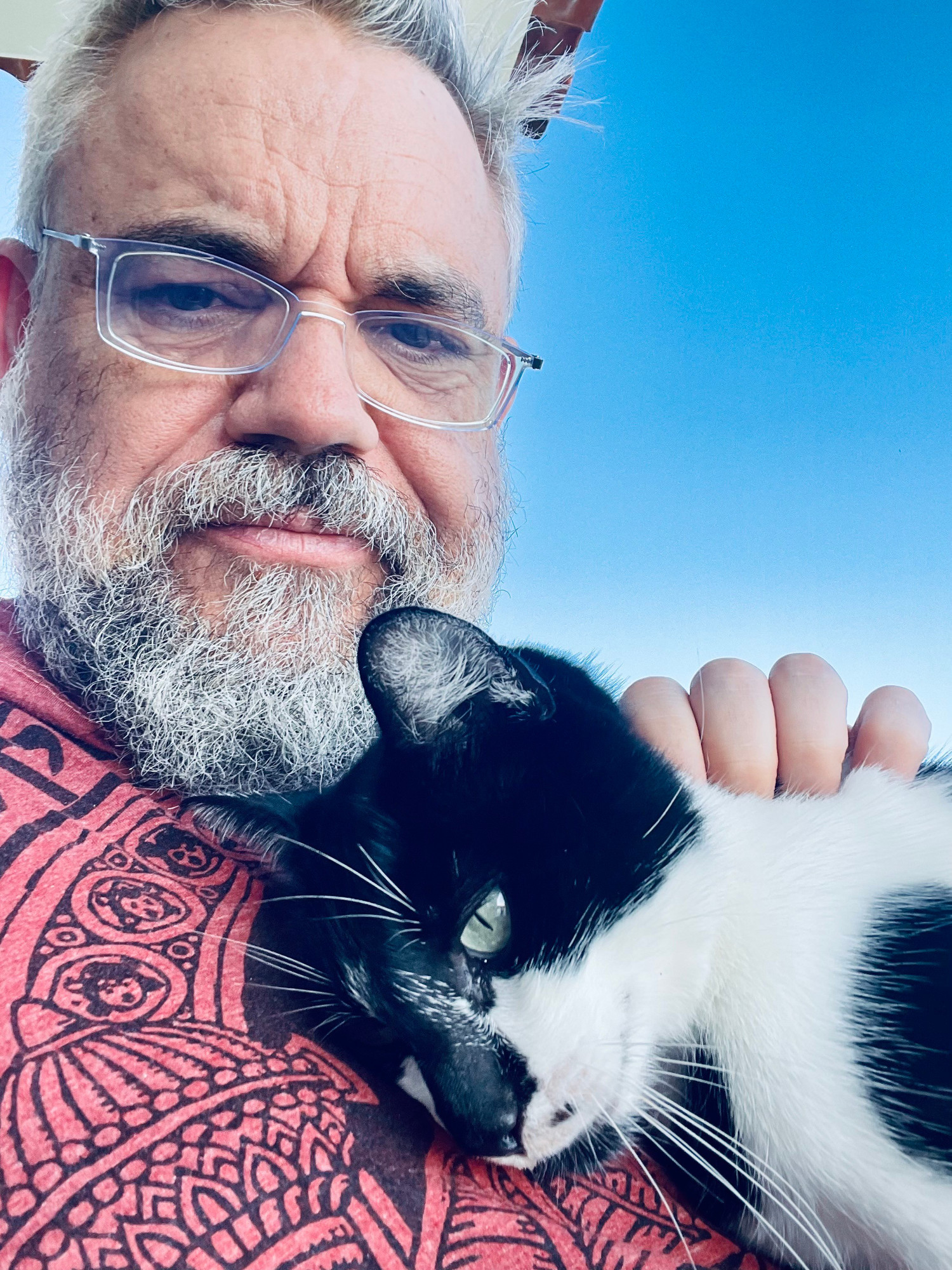 Blacks and white cat curled up on my chest. 