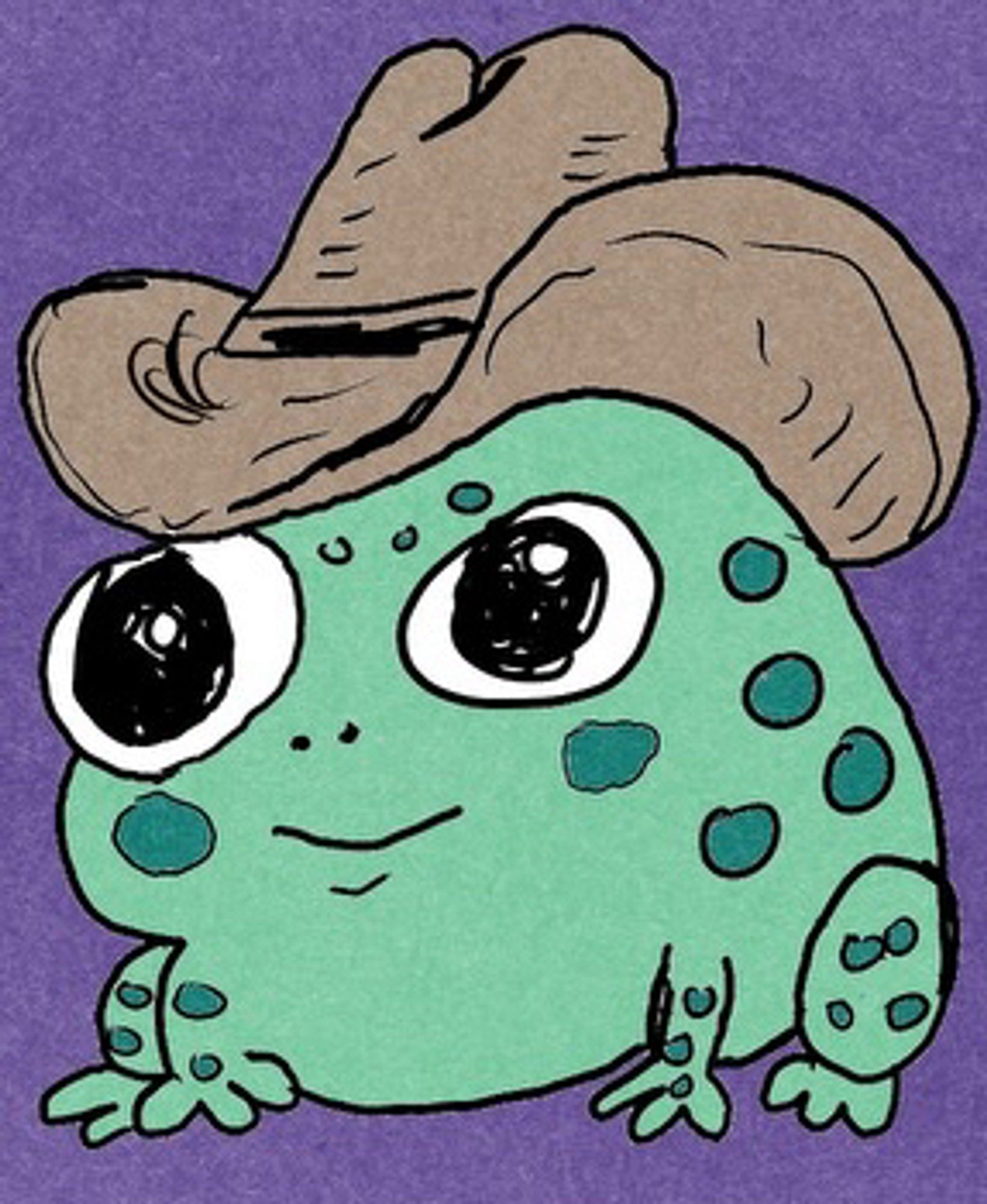 a digital drawing of a frog in a cowboy hat, quite cartoonish