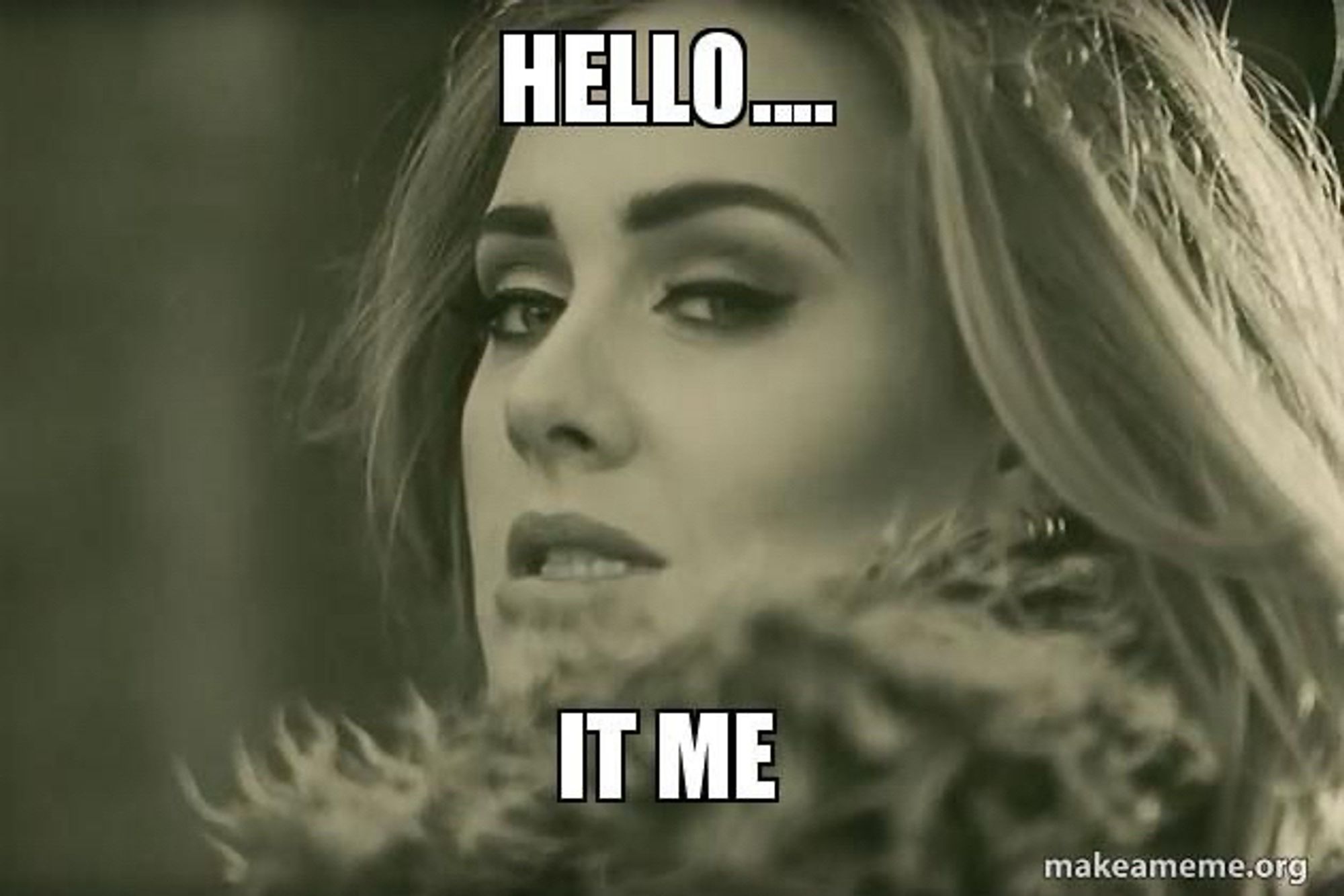 A photo of Adele with the words: hello... it me