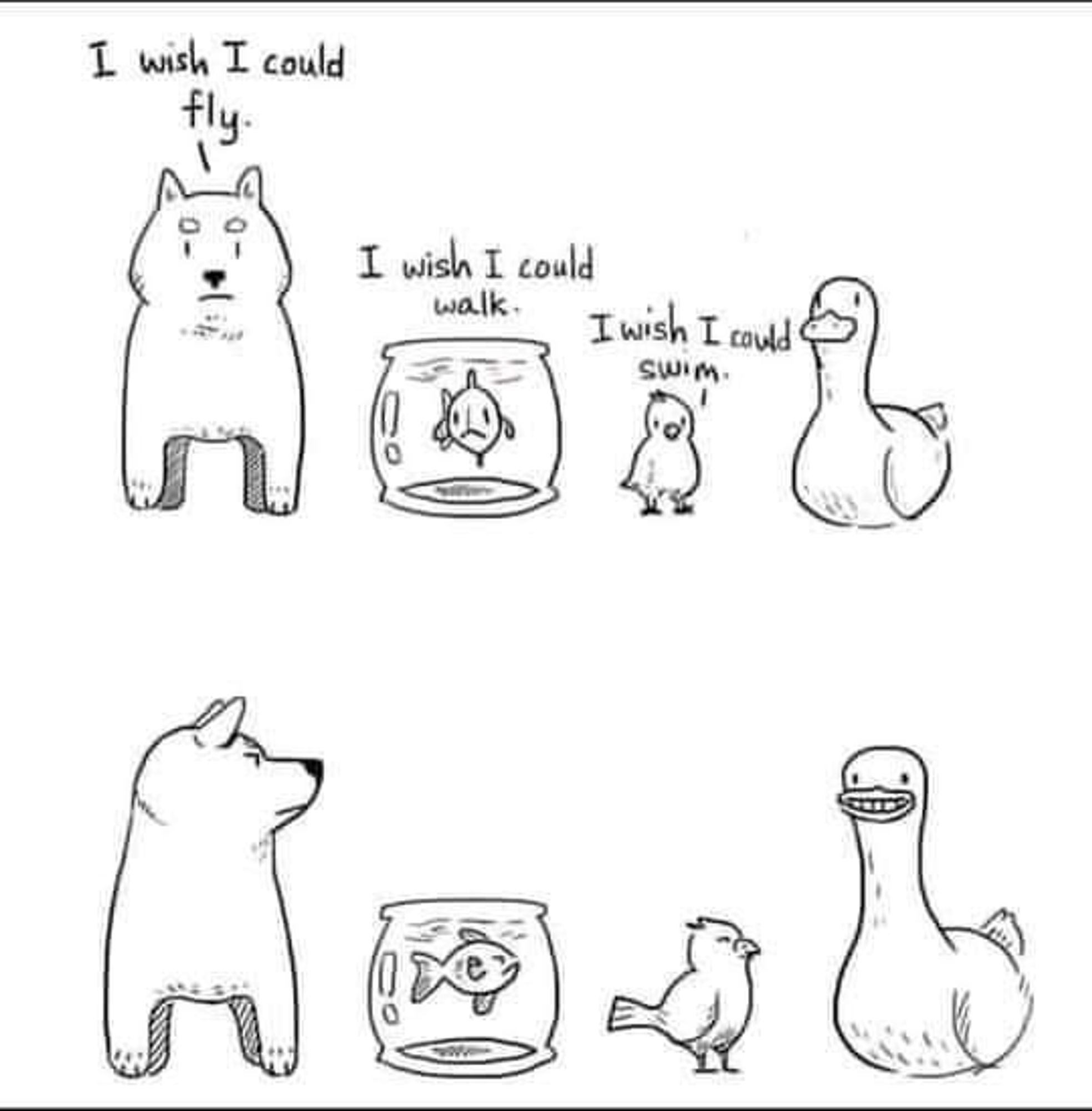 Cartoon of dog, fish, bird and duck saying I wish I could fly, walk, and swim, followed by the duck looking embarrassed