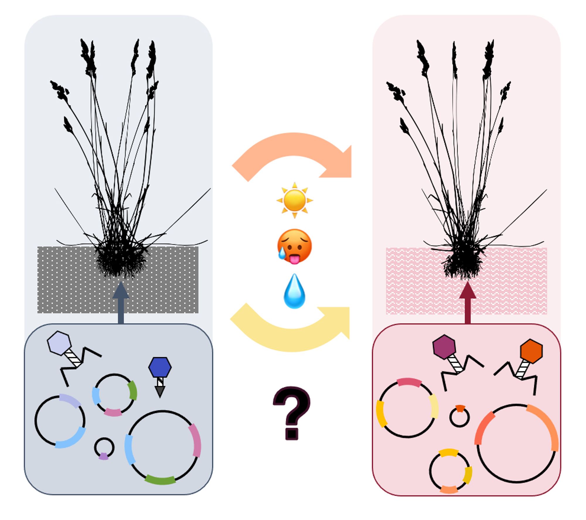 Graphic showing plants and soils exposed to different climate change treatments, illustrating different mobile genetic elements in the resident microbiomes.